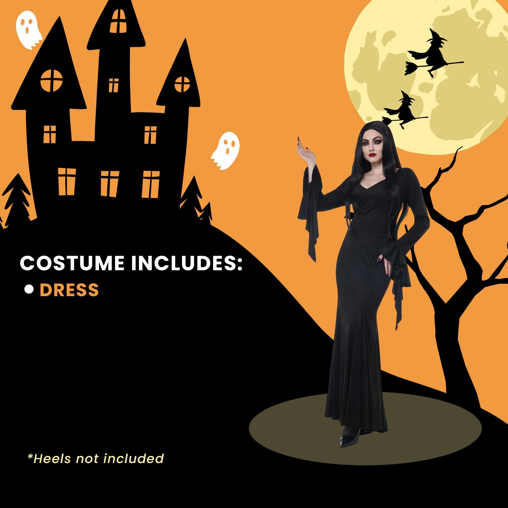 Macabre Mistress Adult Costume