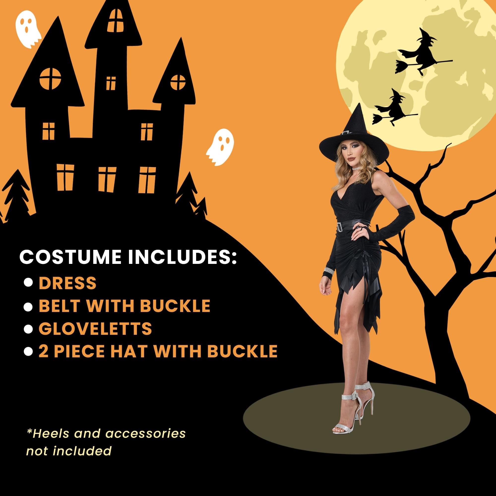 Adult Million Dollar Witch Costume