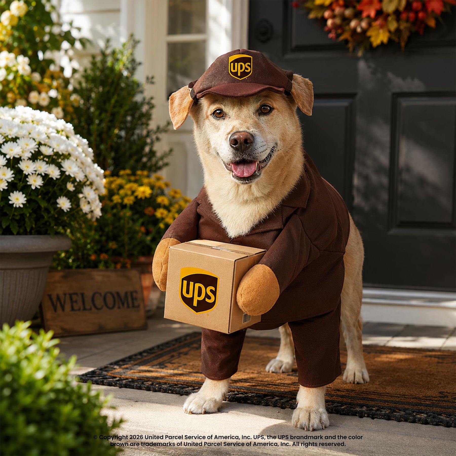 UPS Pal Dog Costume | Medium
