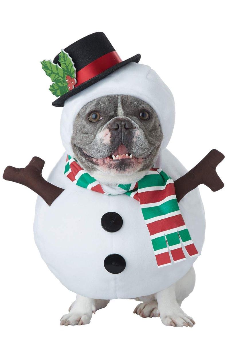 Snowman Dog Pet Costume