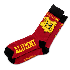 Harry Potter Journal and Sock Bundle