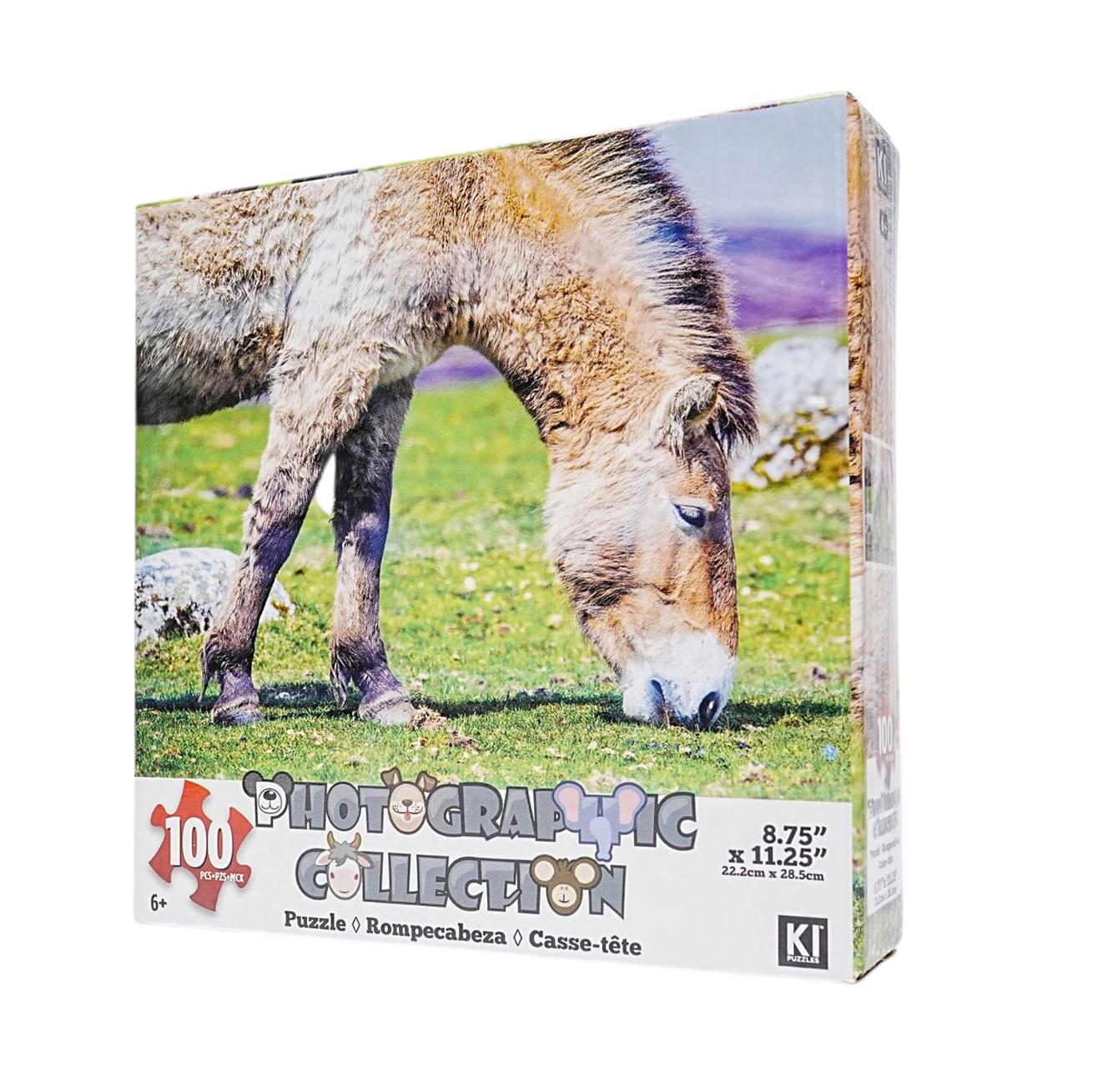 Donkey 100 Piece Photographic Collection Jigsaw Puzzle