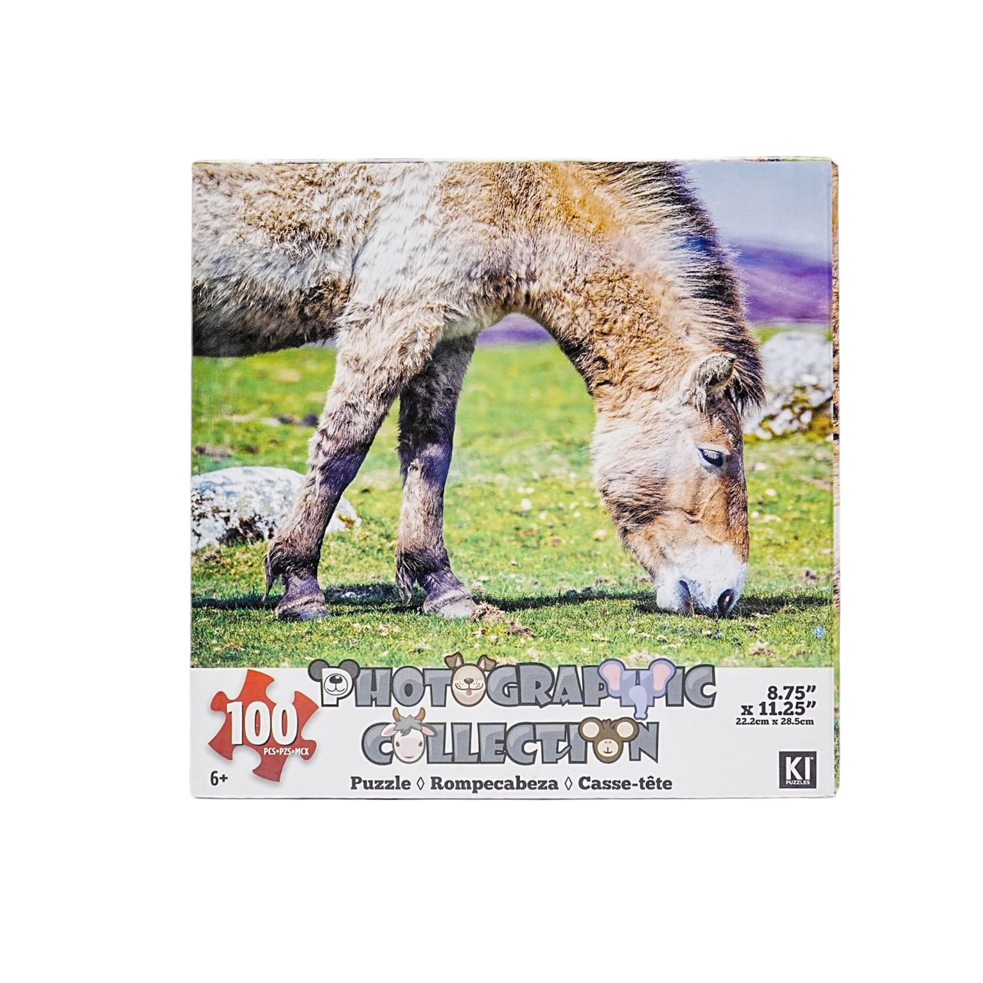Donkey 100 Piece Photographic Collection Jigsaw Puzzle