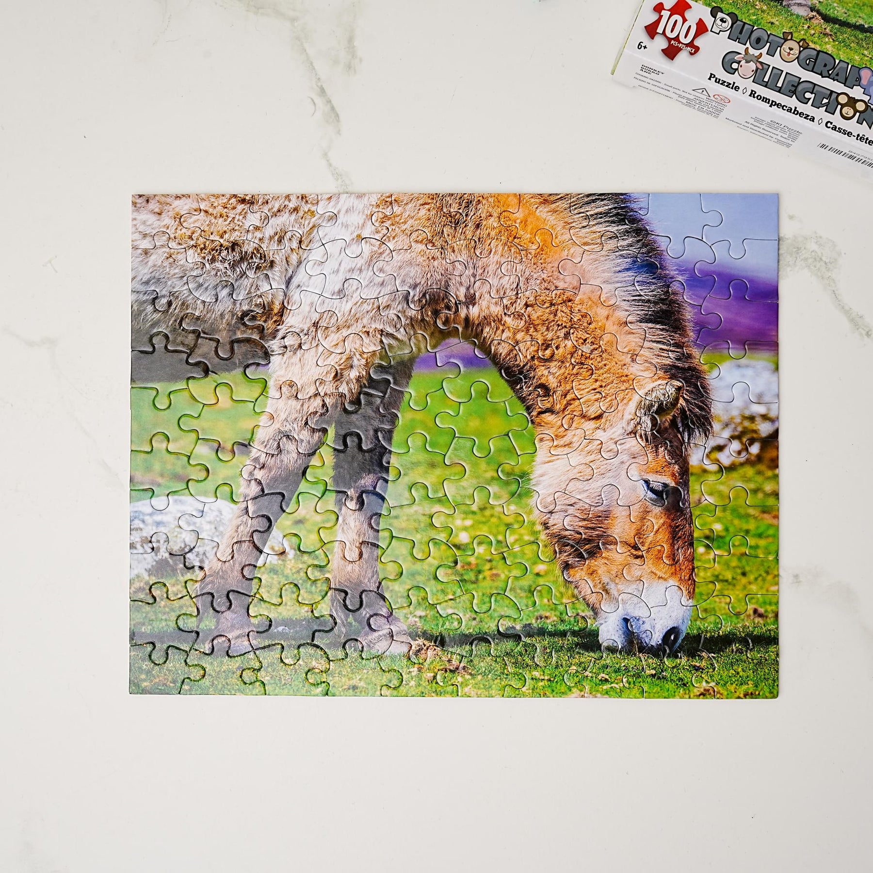 Donkey 100 Piece Photographic Collection Jigsaw Puzzle