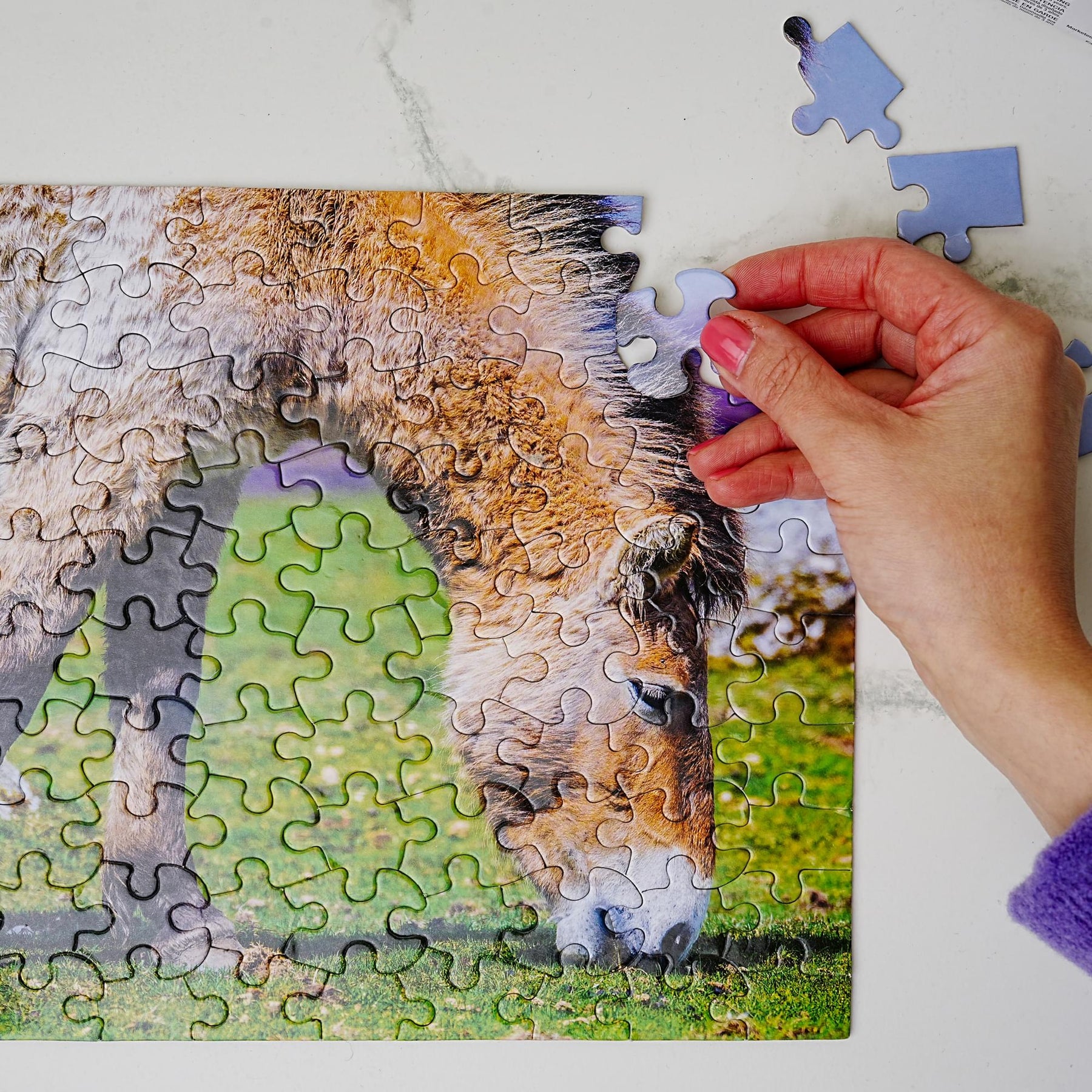 Donkey 100 Piece Photographic Collection Jigsaw Puzzle