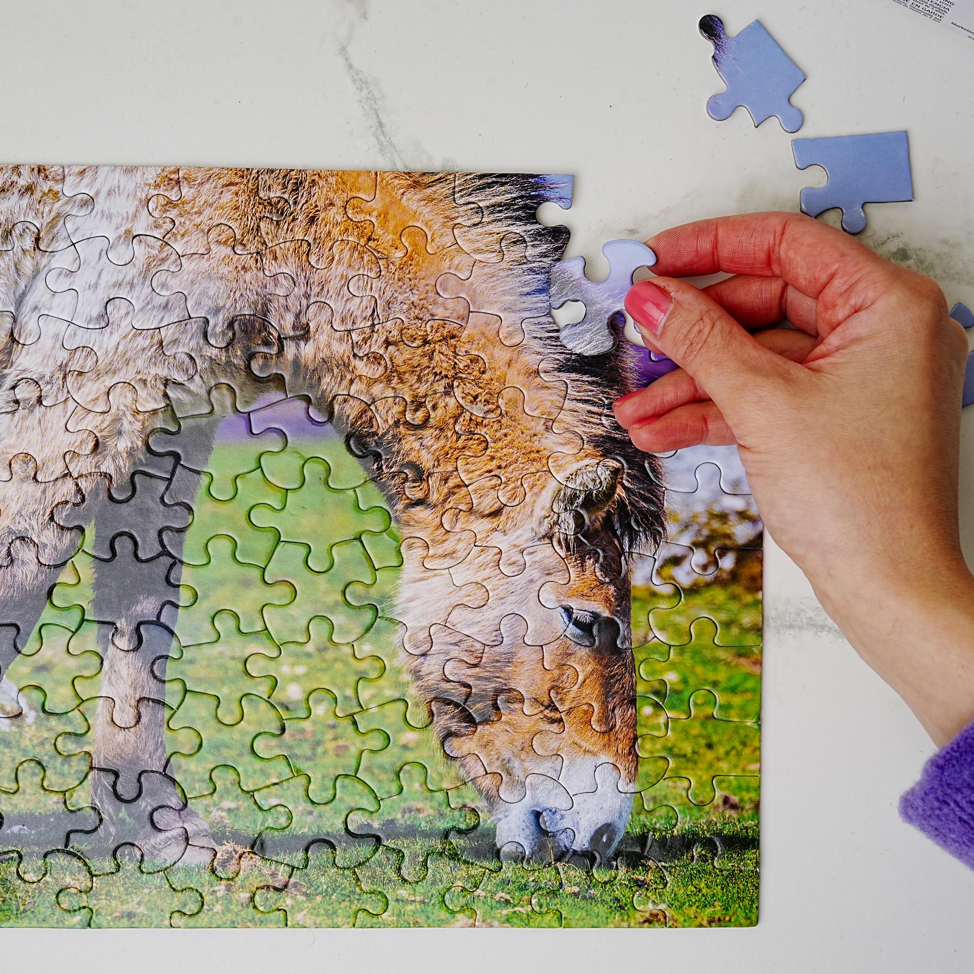 Donkey 100 Piece Photographic Collection Jigsaw Puzzle