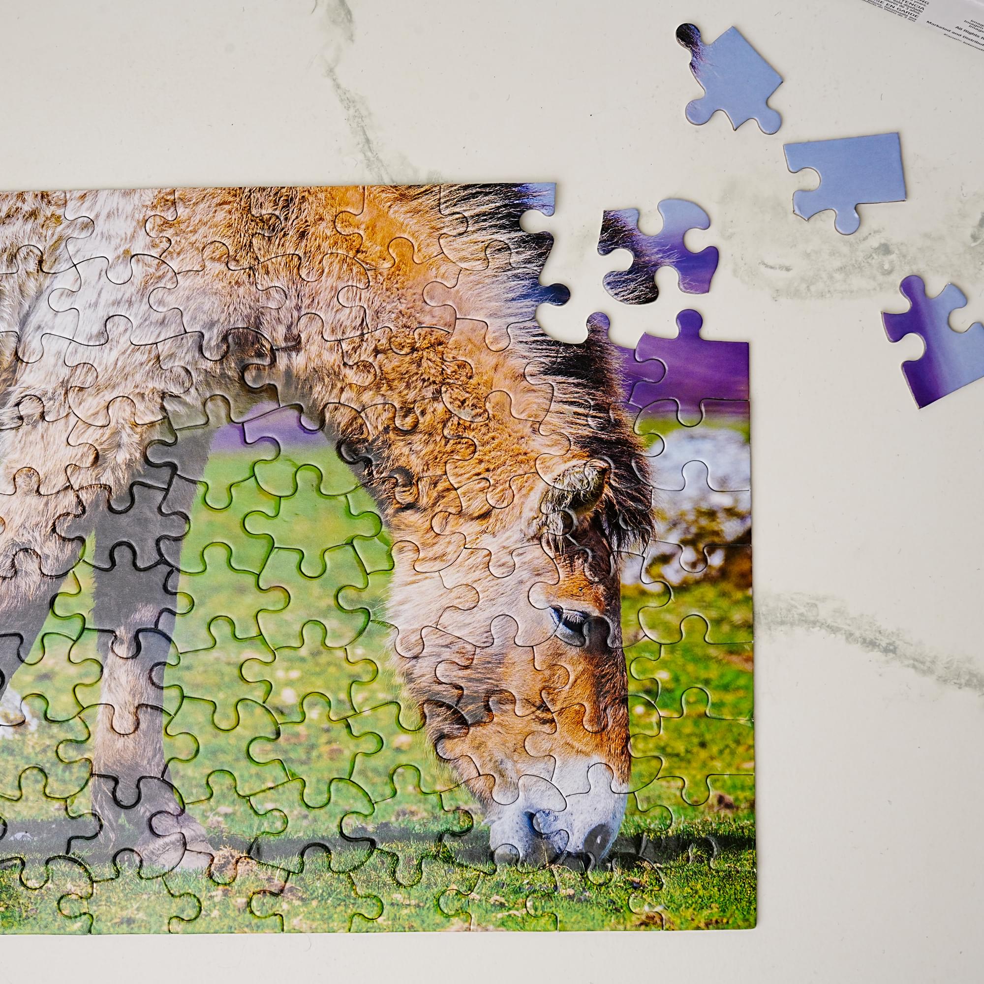 Donkey 100 Piece Photographic Collection Jigsaw Puzzle