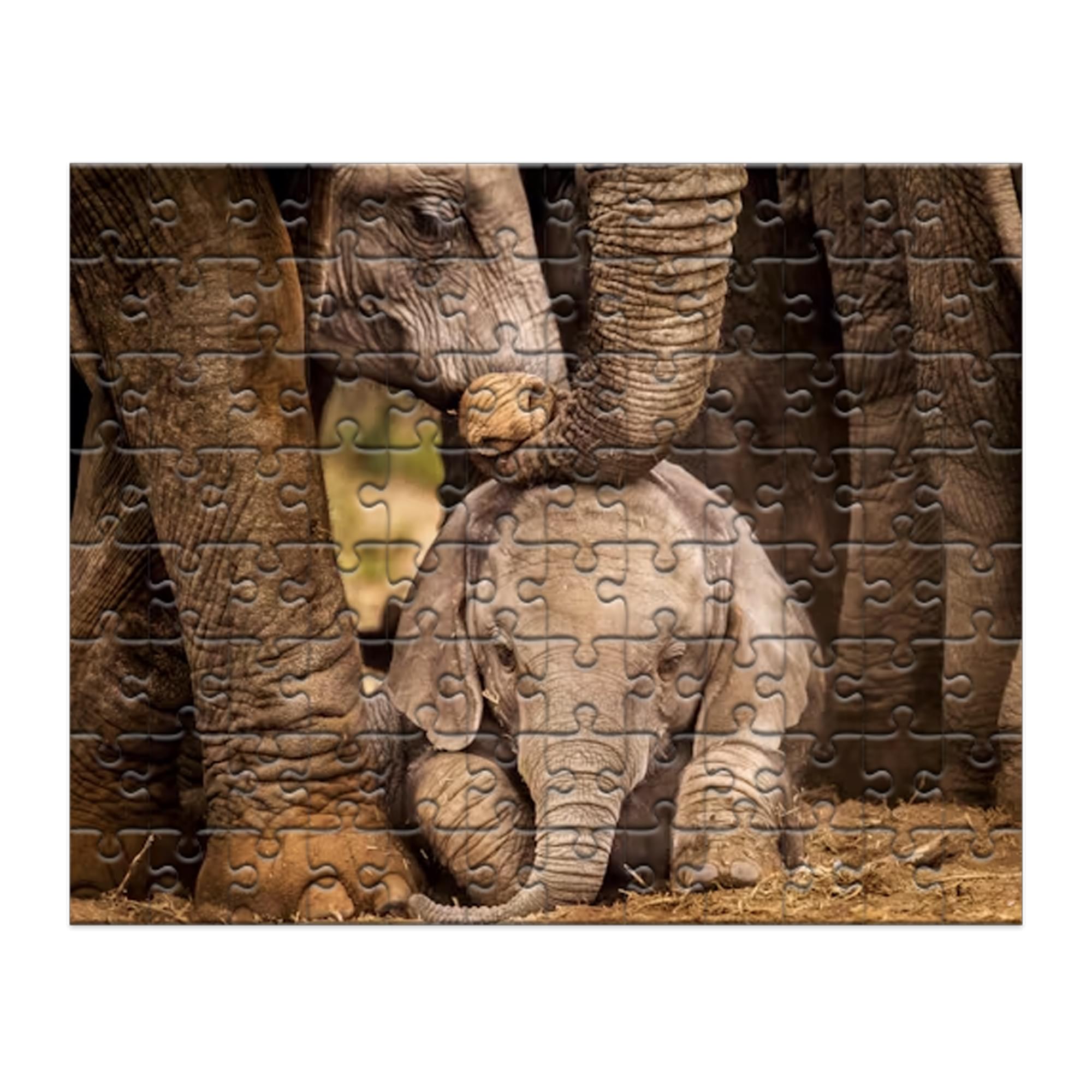 Elephant 100 Piece 100 Piece Photographic Collection Jigsaw Puzzle