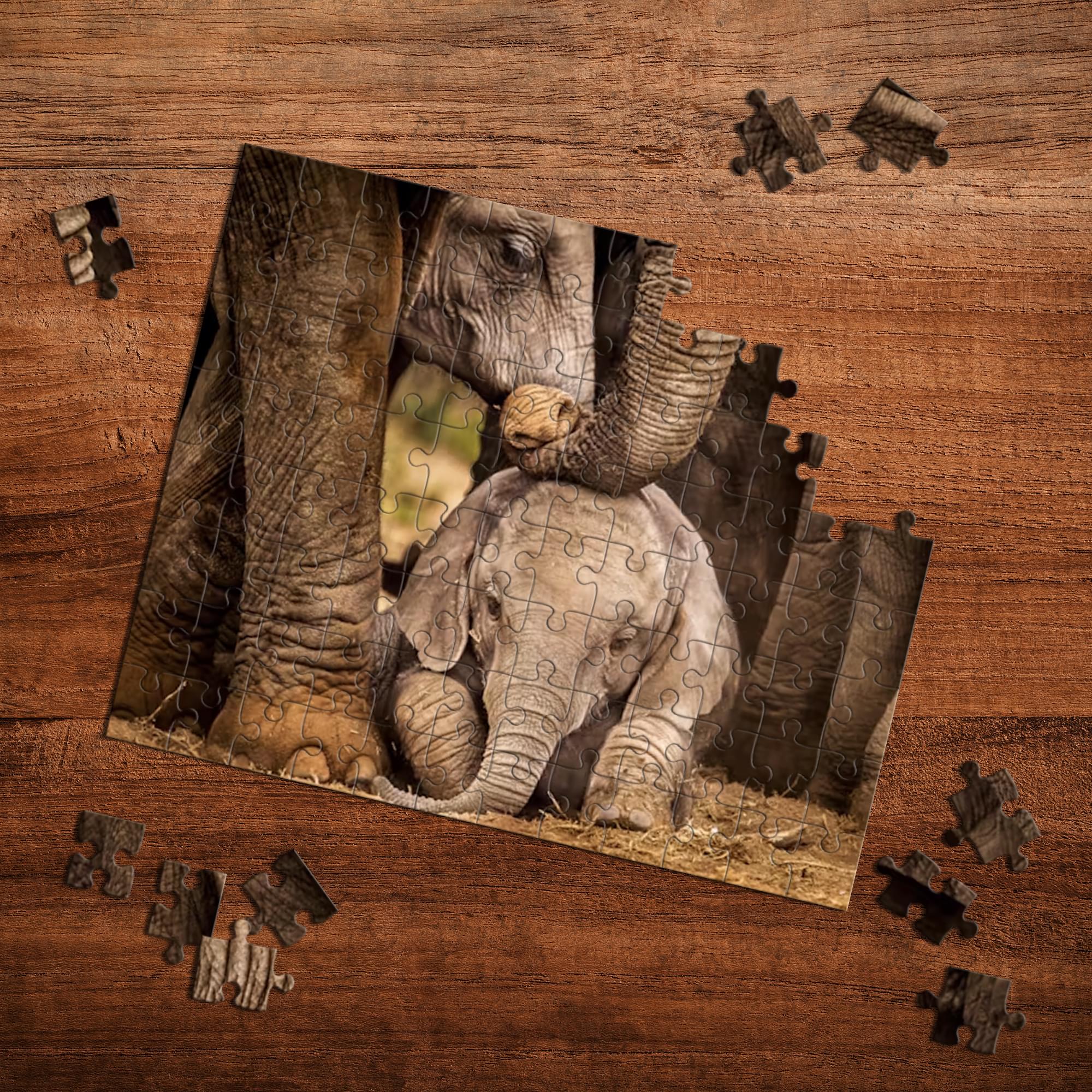 Elephant 100 Piece 100 Piece Photographic Collection Jigsaw Puzzle