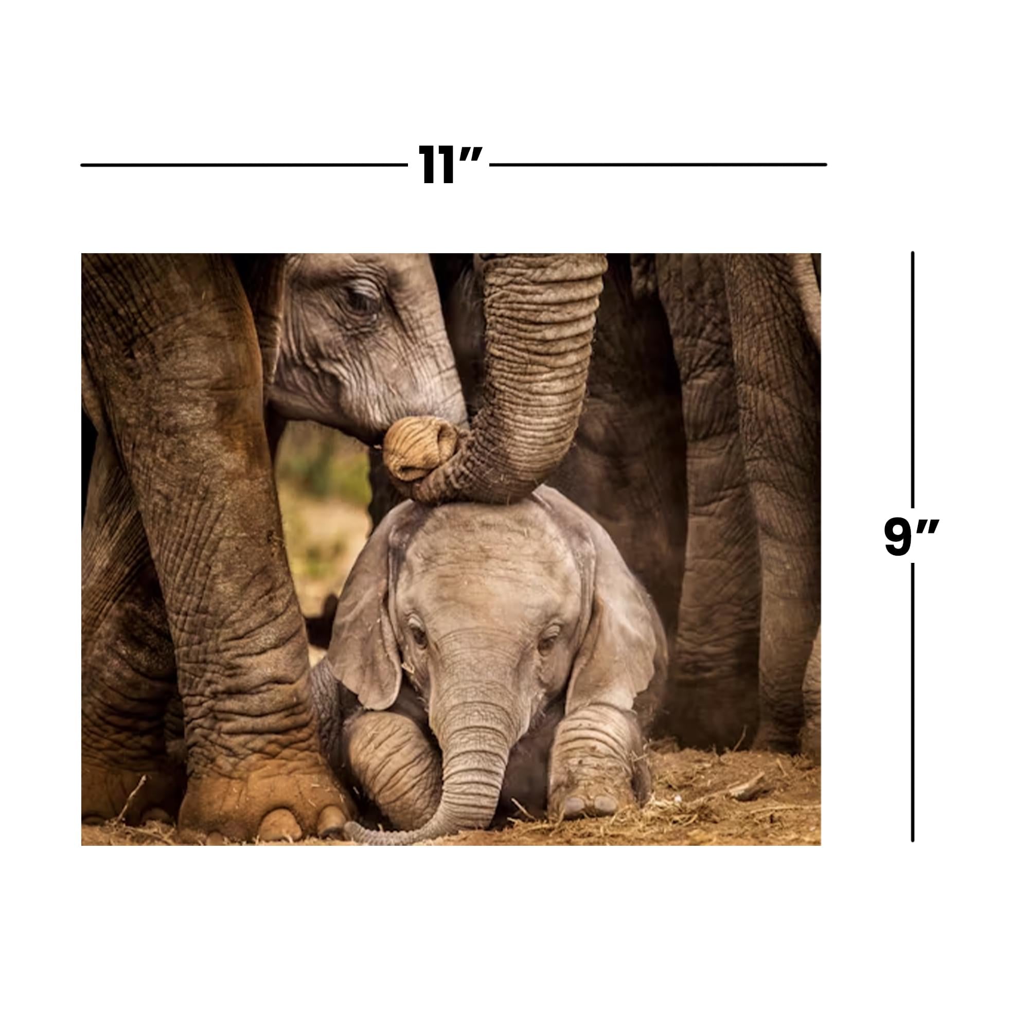 Elephant 100 Piece 100 Piece Photographic Collection Jigsaw Puzzle