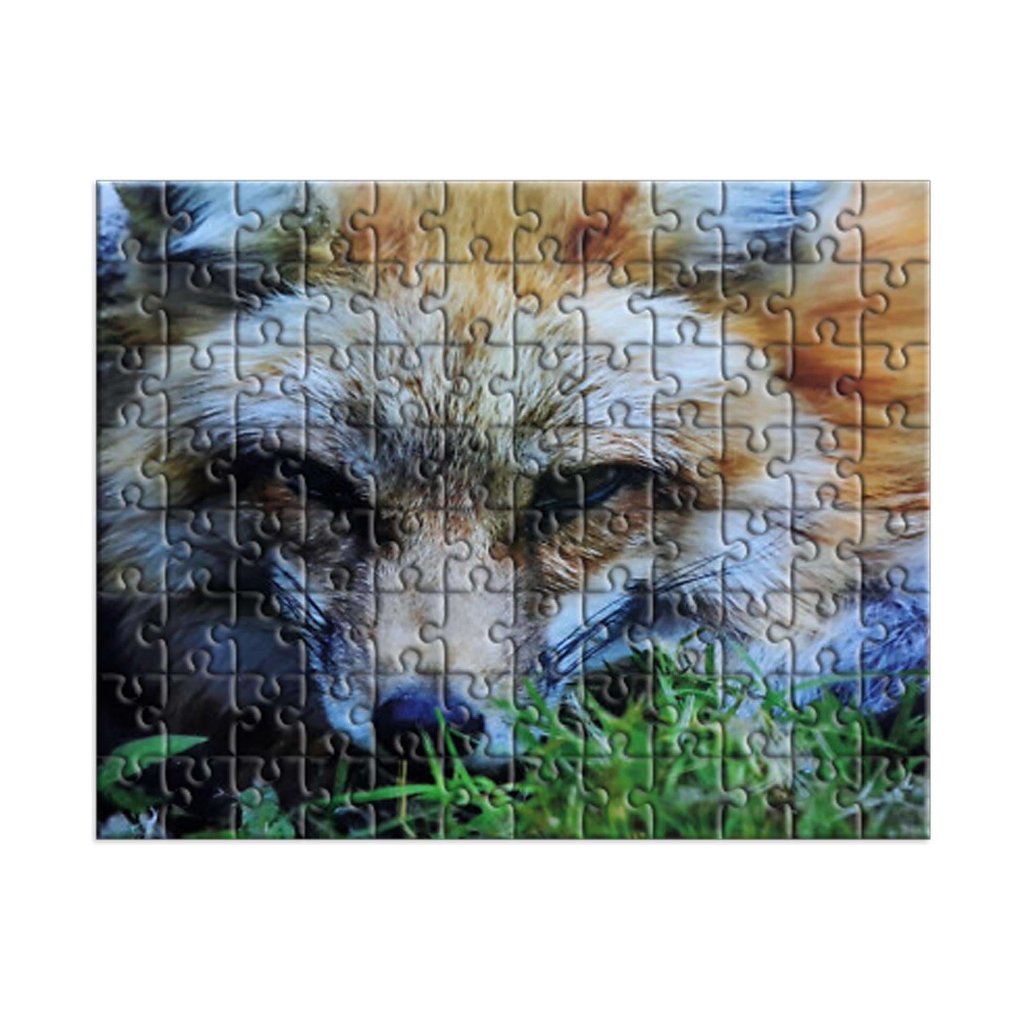 Fox 100 Piece Photographic Collection Jigsaw Puzzle