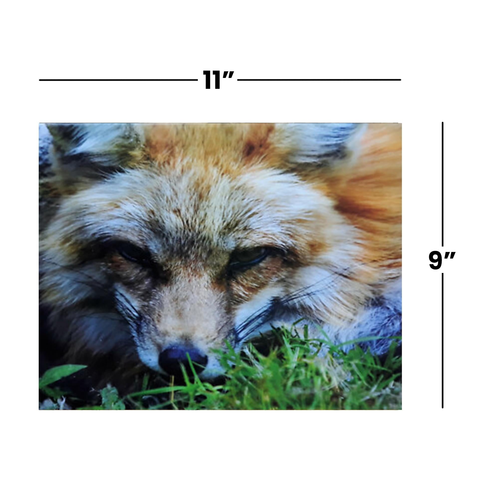 Fox 100 Piece Photographic Collection Jigsaw Puzzle