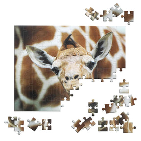 Giraffe 100 Piece Photographic Collection Jigsaw Puzzle