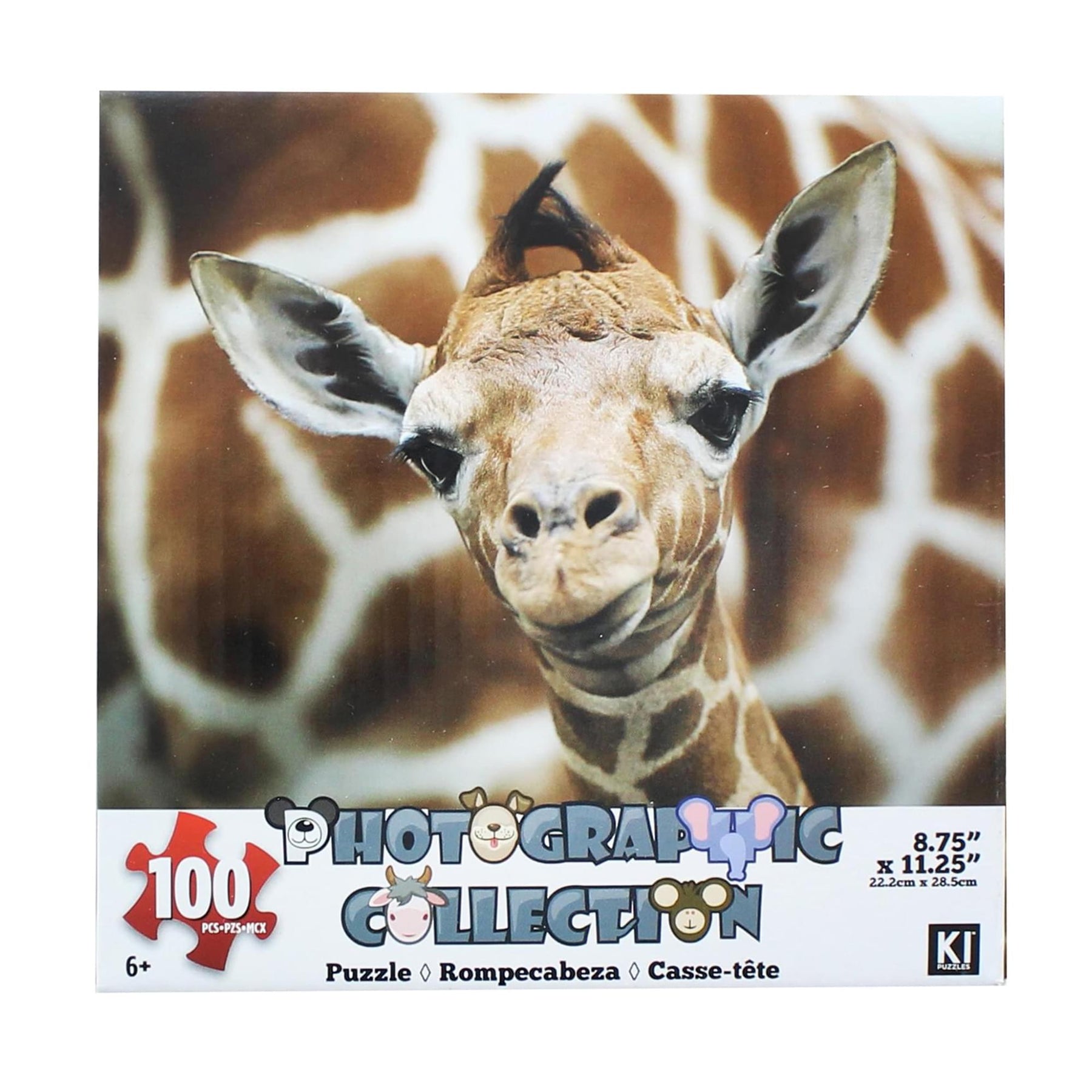 Giraffe 100 Piece Photographic Collection Jigsaw Puzzle