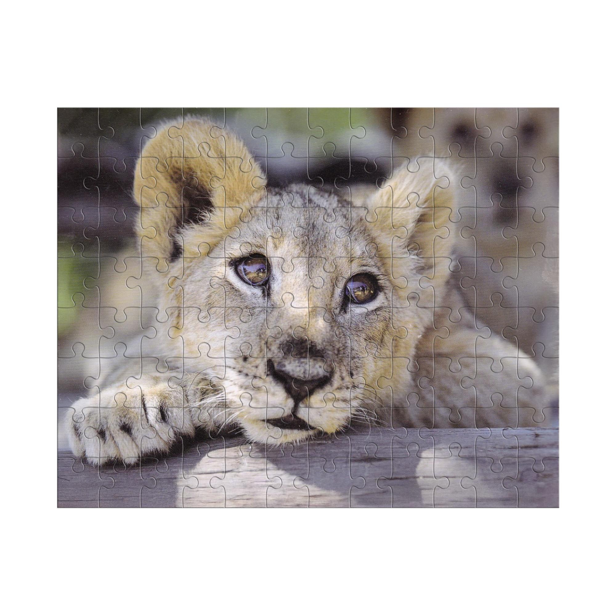Lion 100 Piece Photographic Collection Jigsaw Puzzle