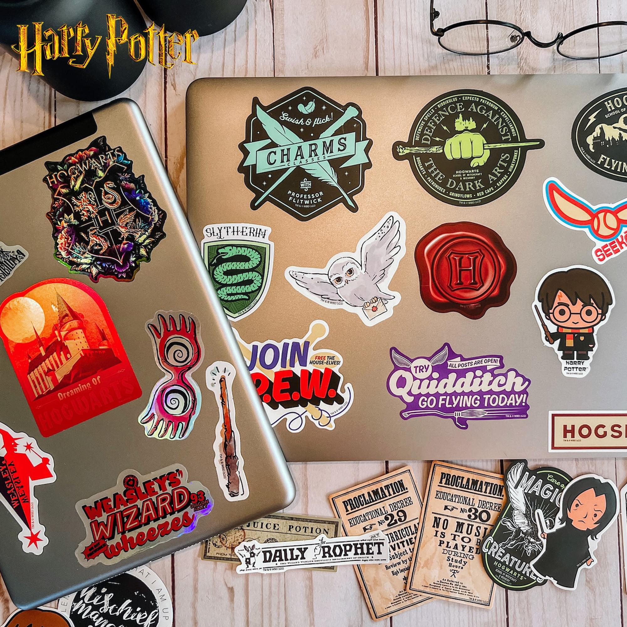 Harry Potter Clear Variety Vinyl Decal 50-Pack
