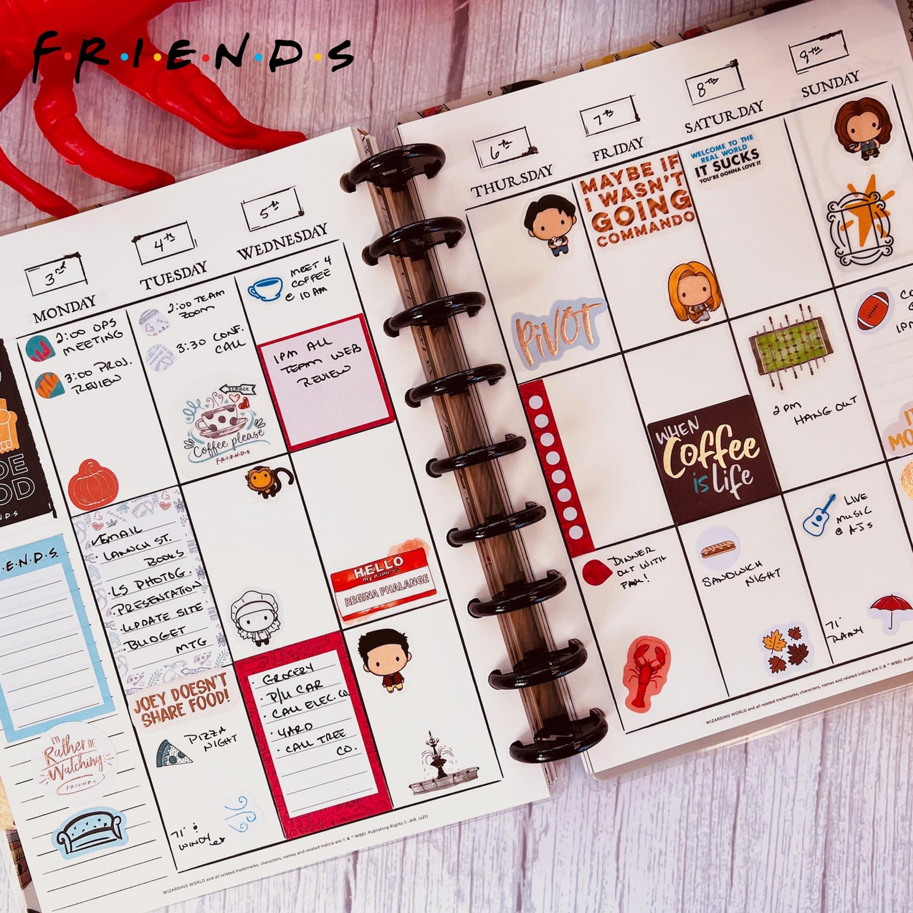 Friends Planner 30-Page Sticker Book | 1000+ Stickers