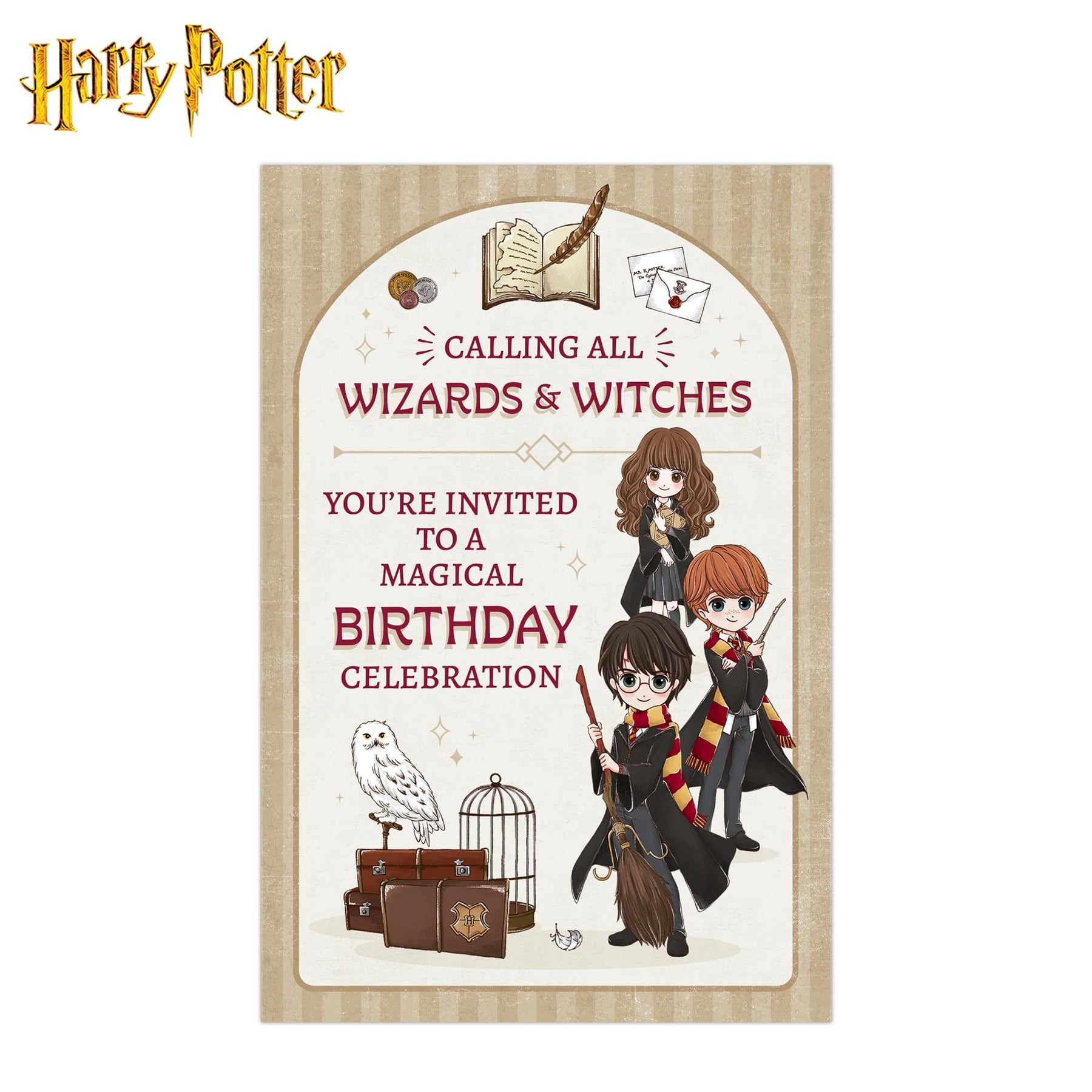 Harry Potter Magical Wizards & Witches Birthday Invitation & Envelope Box Set