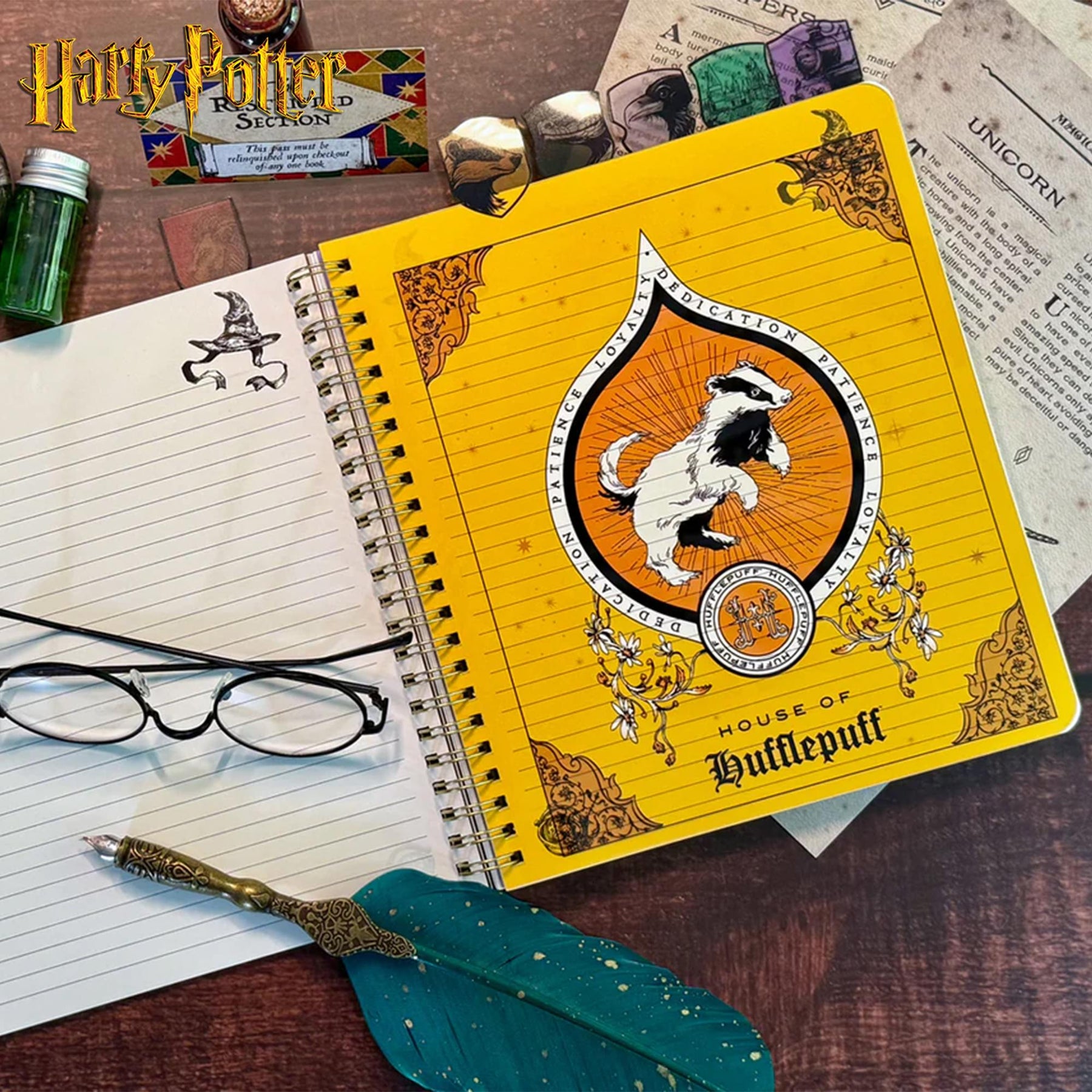 Harry Potter Sorting Hat 8 x 7 Inch 6-Tabbed Spiral Journal | 144 Pages