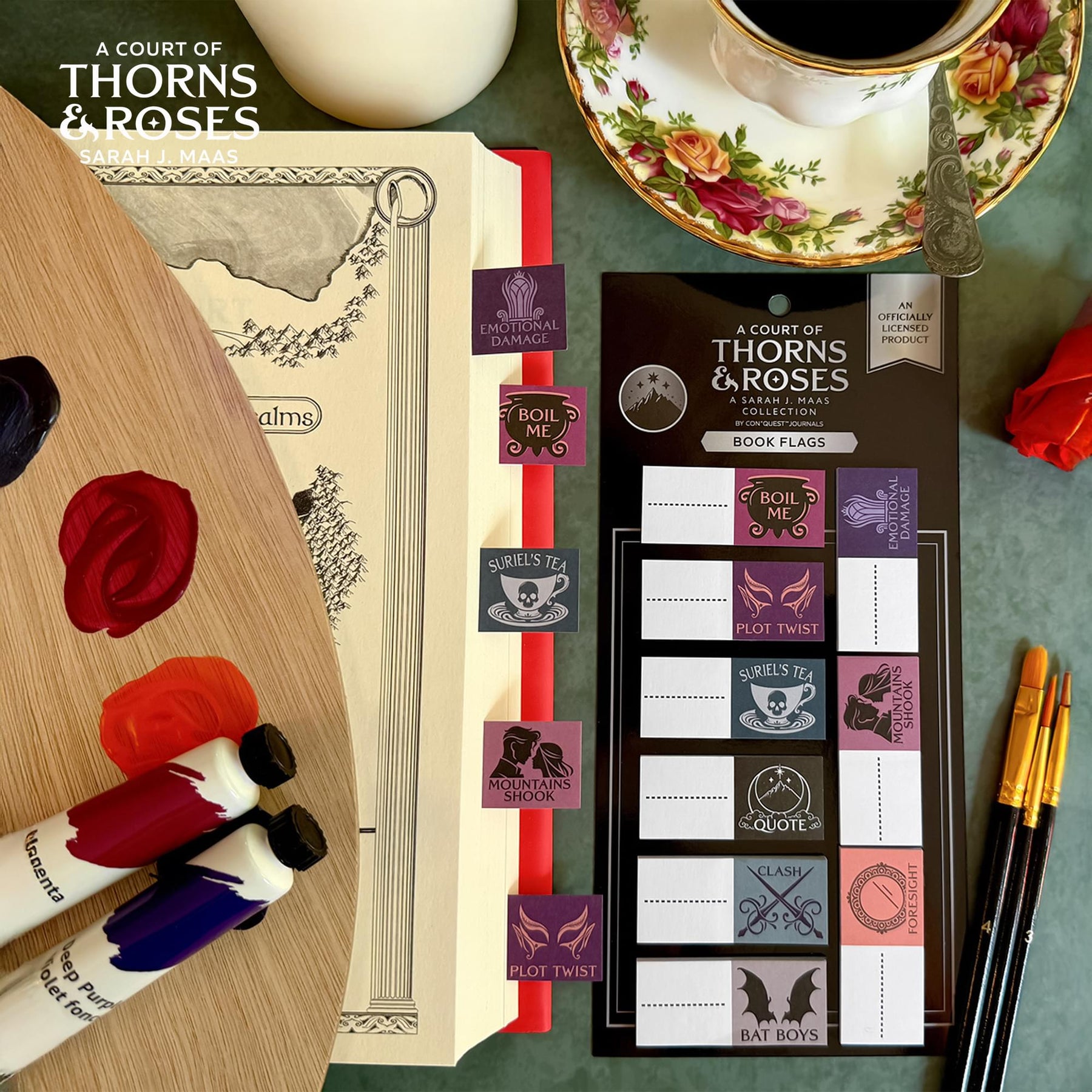 A Court Of Thorns and Roses Annotation Book Flag Set Of 30