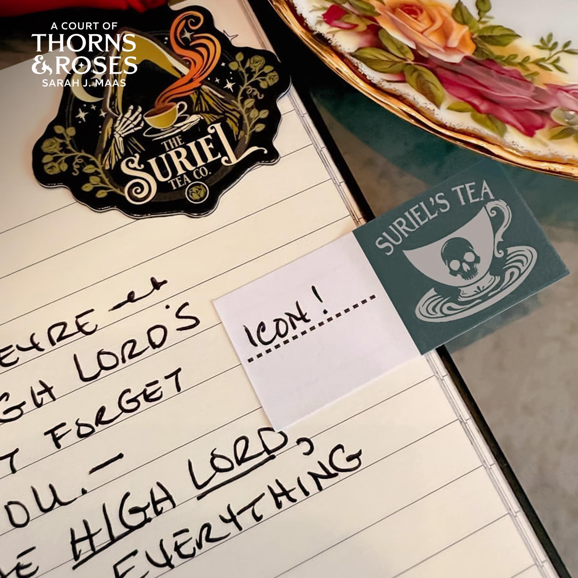 A Court Of Thorns and Roses Annotation Book Flag Set Of 30