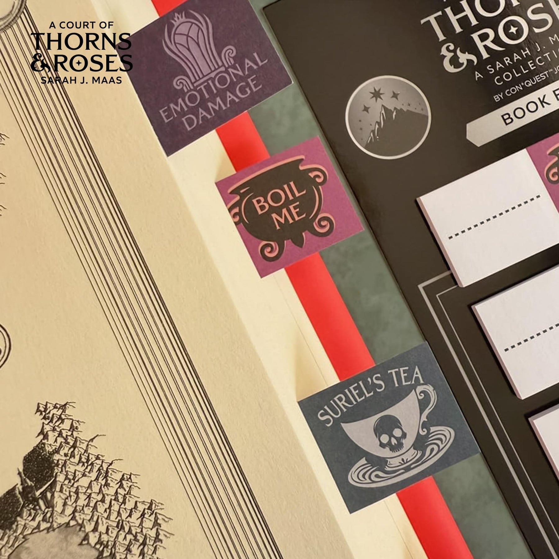 A Court Of Thorns and Roses Annotation Book Flag Set Of 30