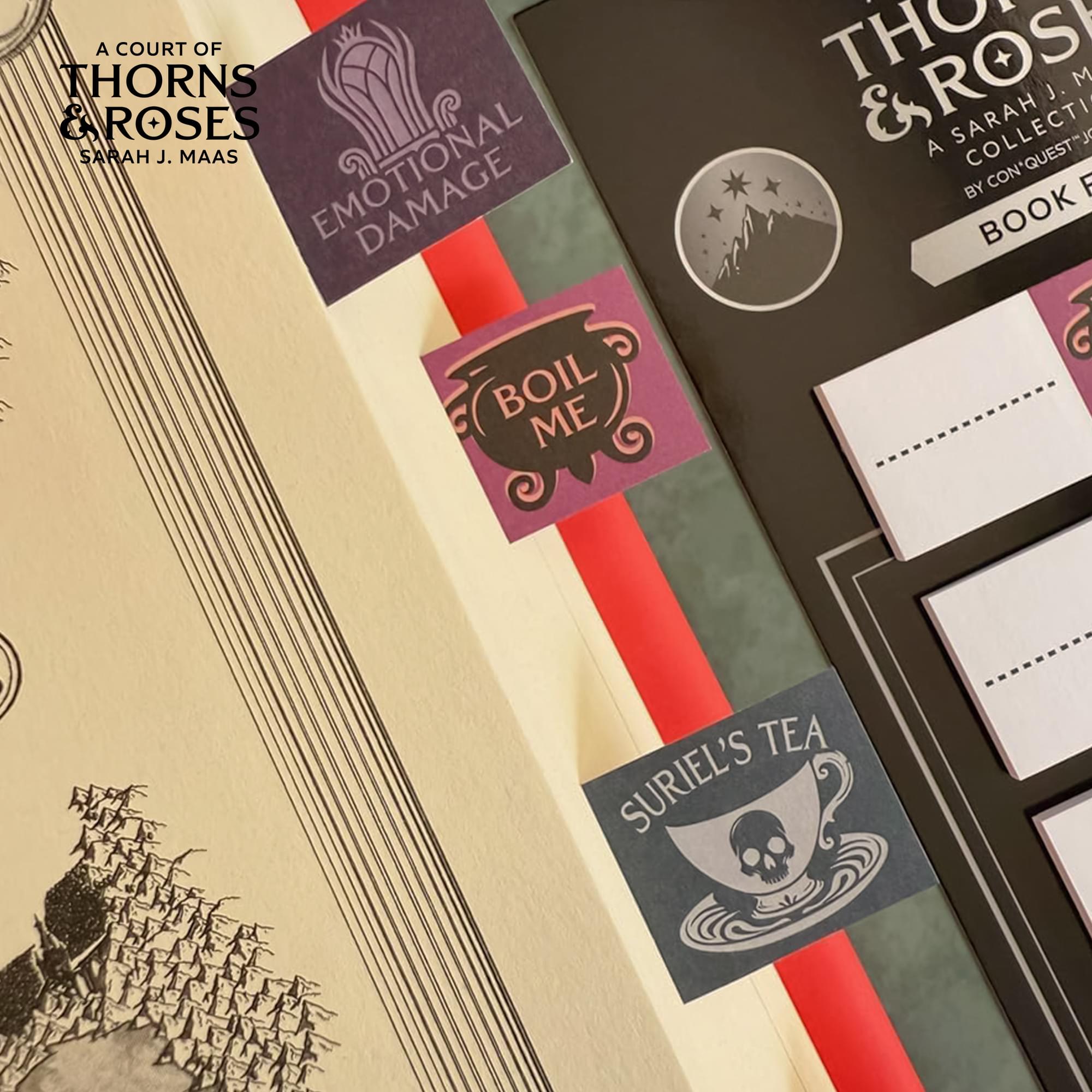 A Court Of Thorns and Roses Annotation Book Flag Set Of 30