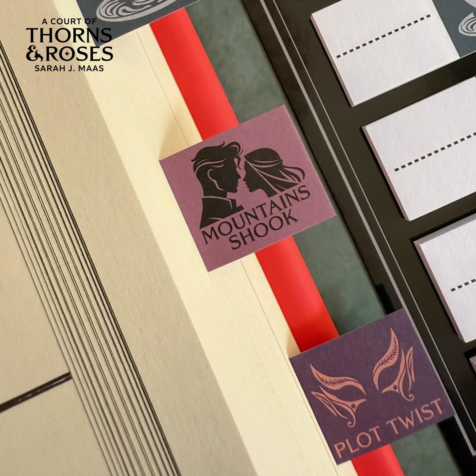 A Court Of Thorns and Roses Annotation Book Flag Set Of 30