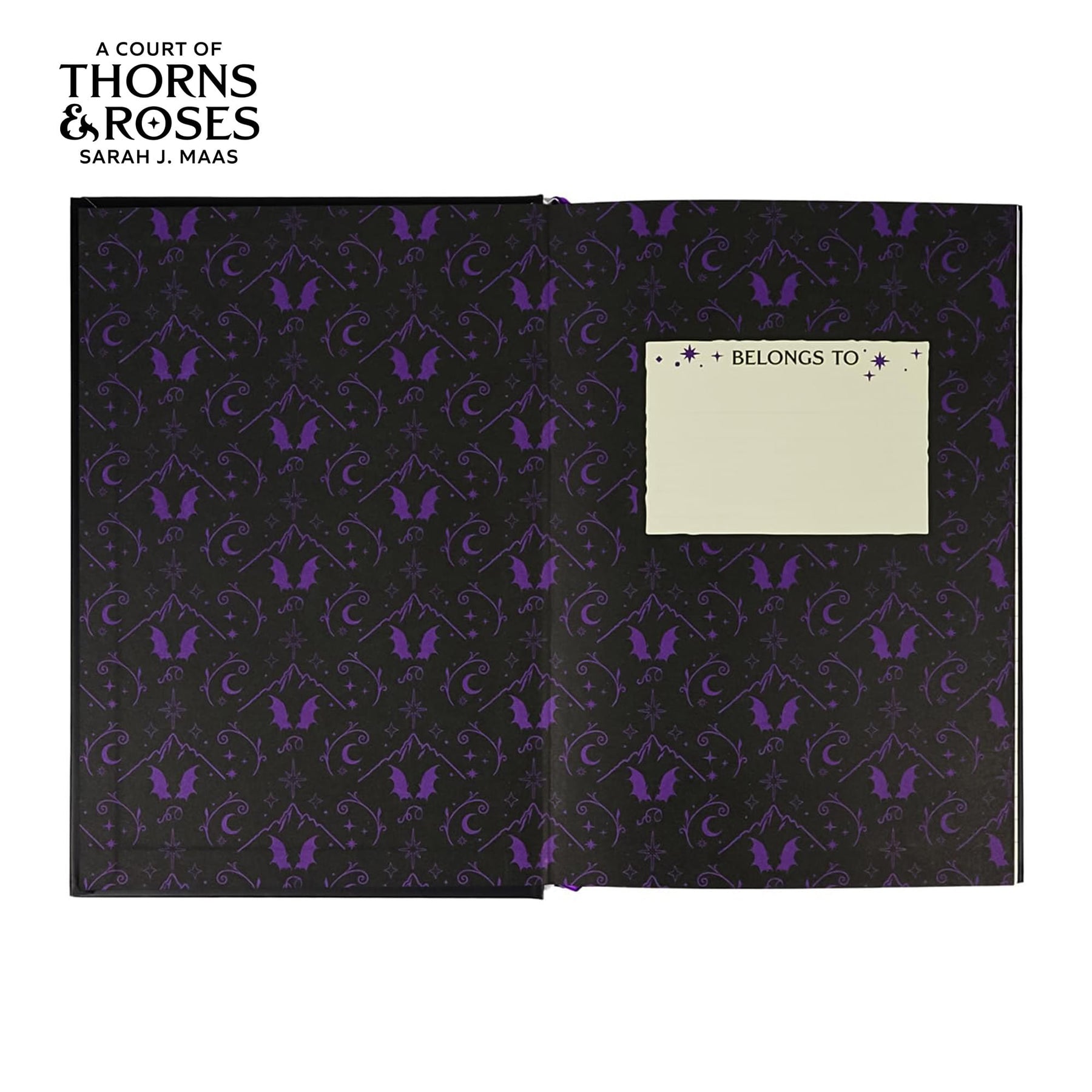 A Court Of Thorns and Roses The City of Starlight Journal | 148 Pages