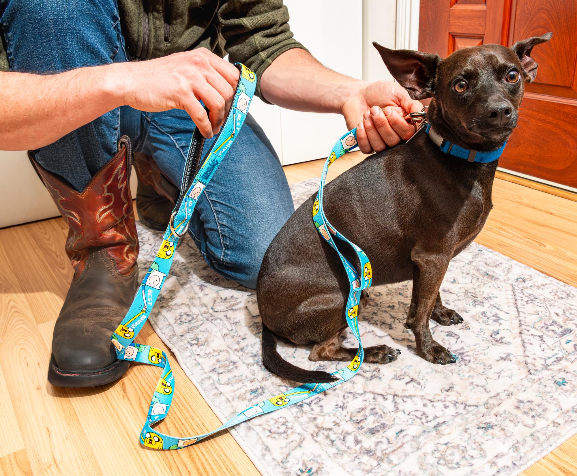 Adventure Time "Best Bros!" 5' Pet Leash
