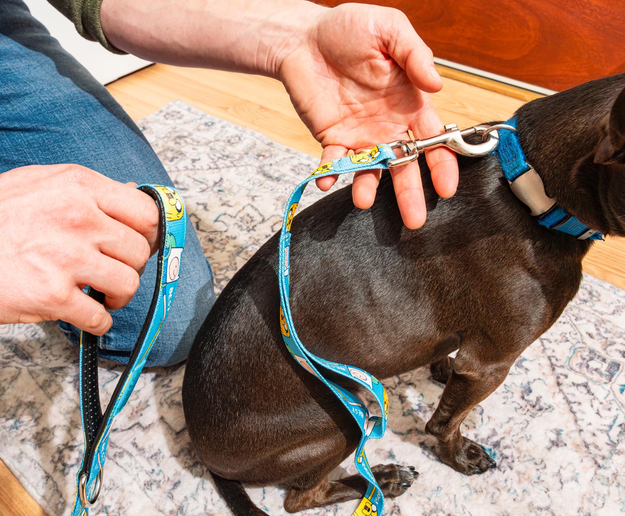 Adventure Time "Best Bros!" 5' Pet Leash
