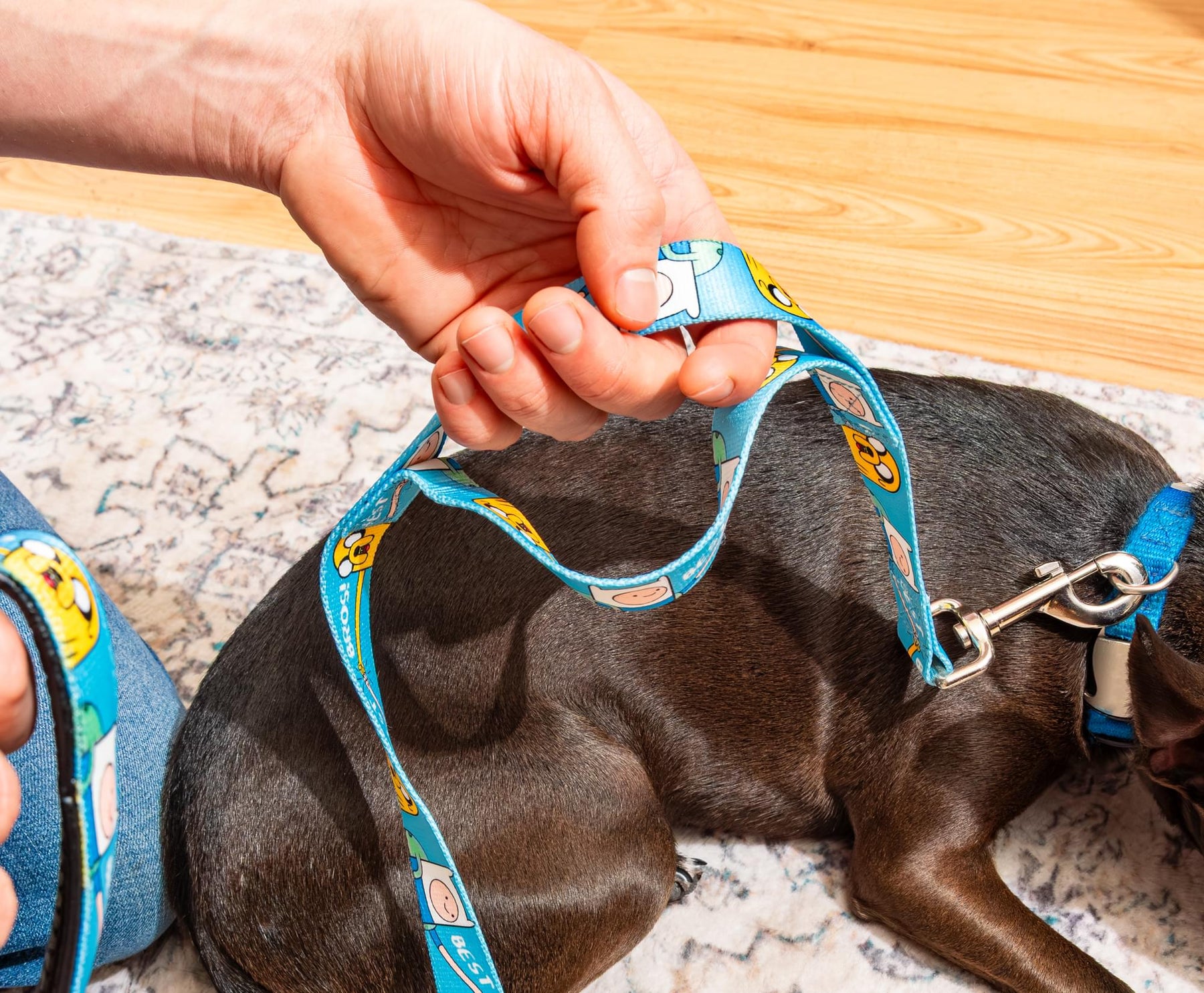 Adventure Time "Best Bros!" 5' Pet Leash
