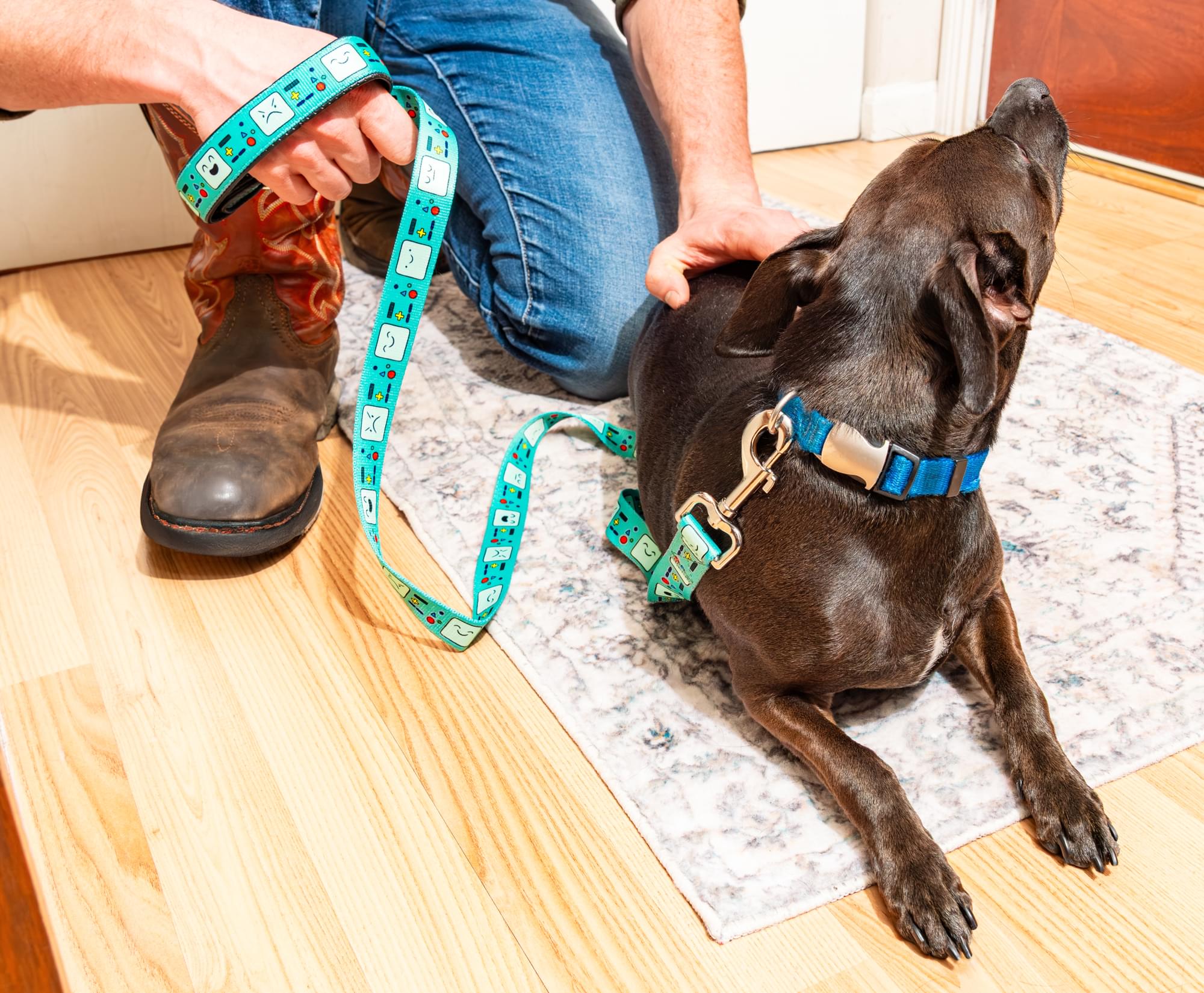 Adventure Time BMO Faces Dog Leash