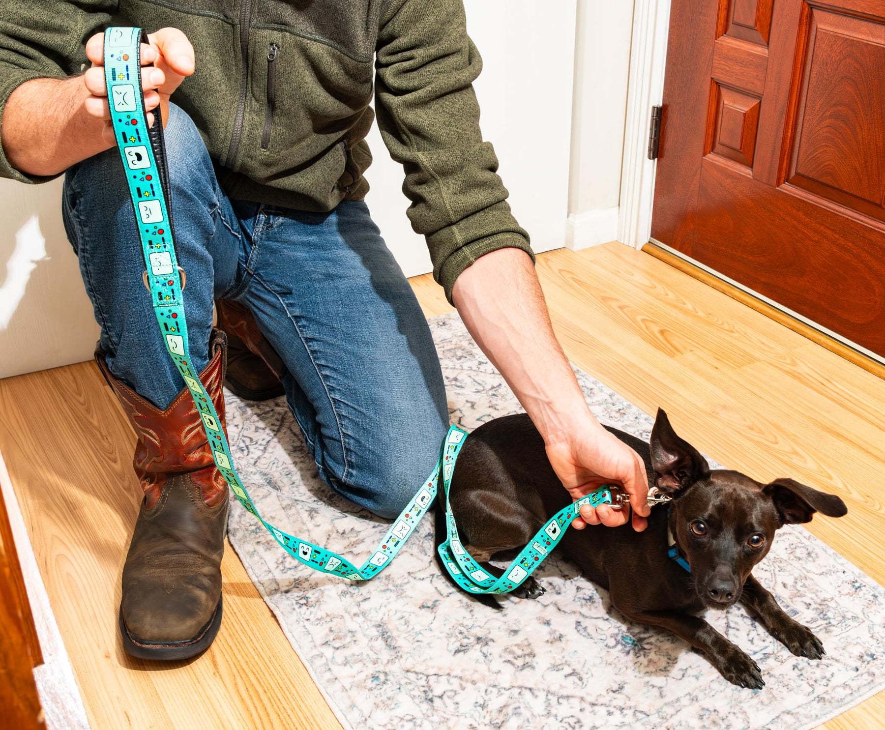 Adventure Time BMO Faces Dog Leash