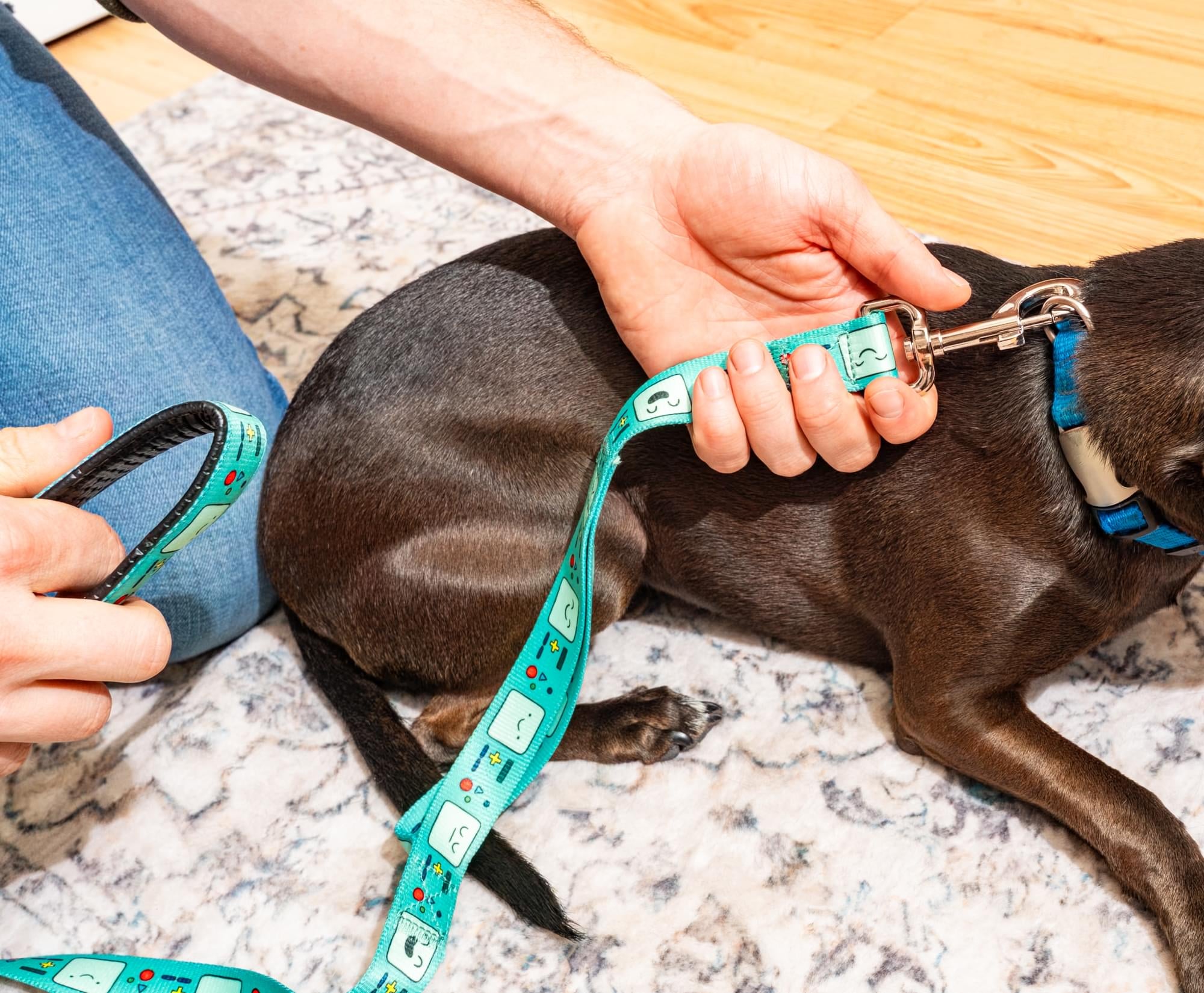 Adventure Time BMO Faces Dog Leash