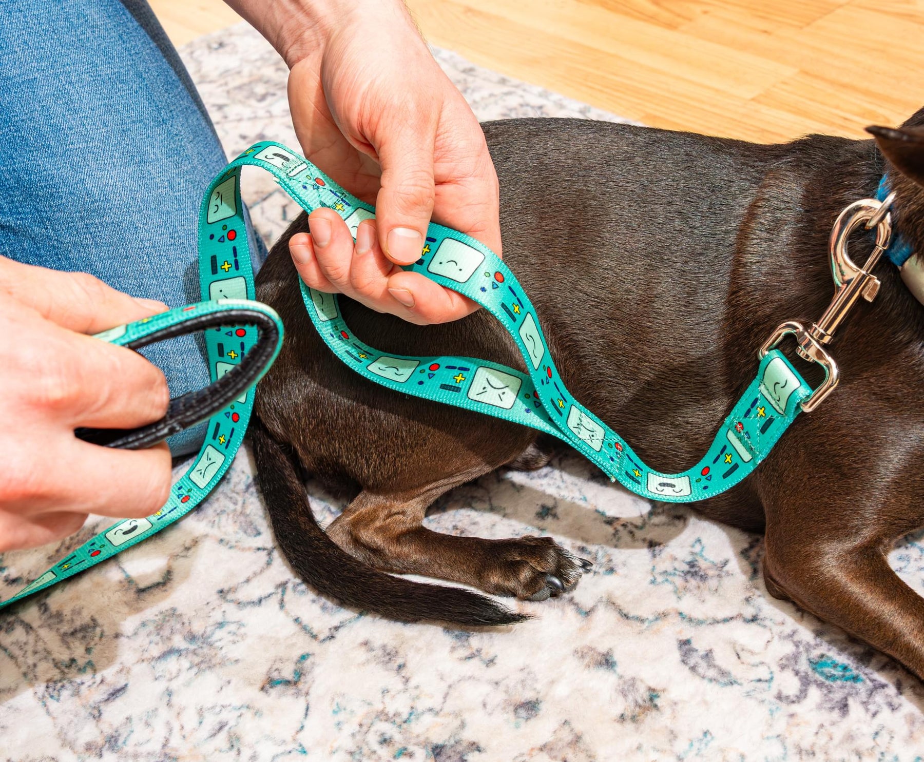 Adventure Time BMO Faces Dog Leash
