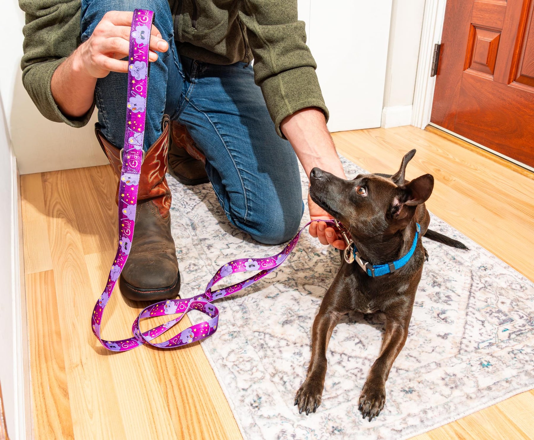 Adventure Time Lumpy Space Princess OMGlob Dog Leash