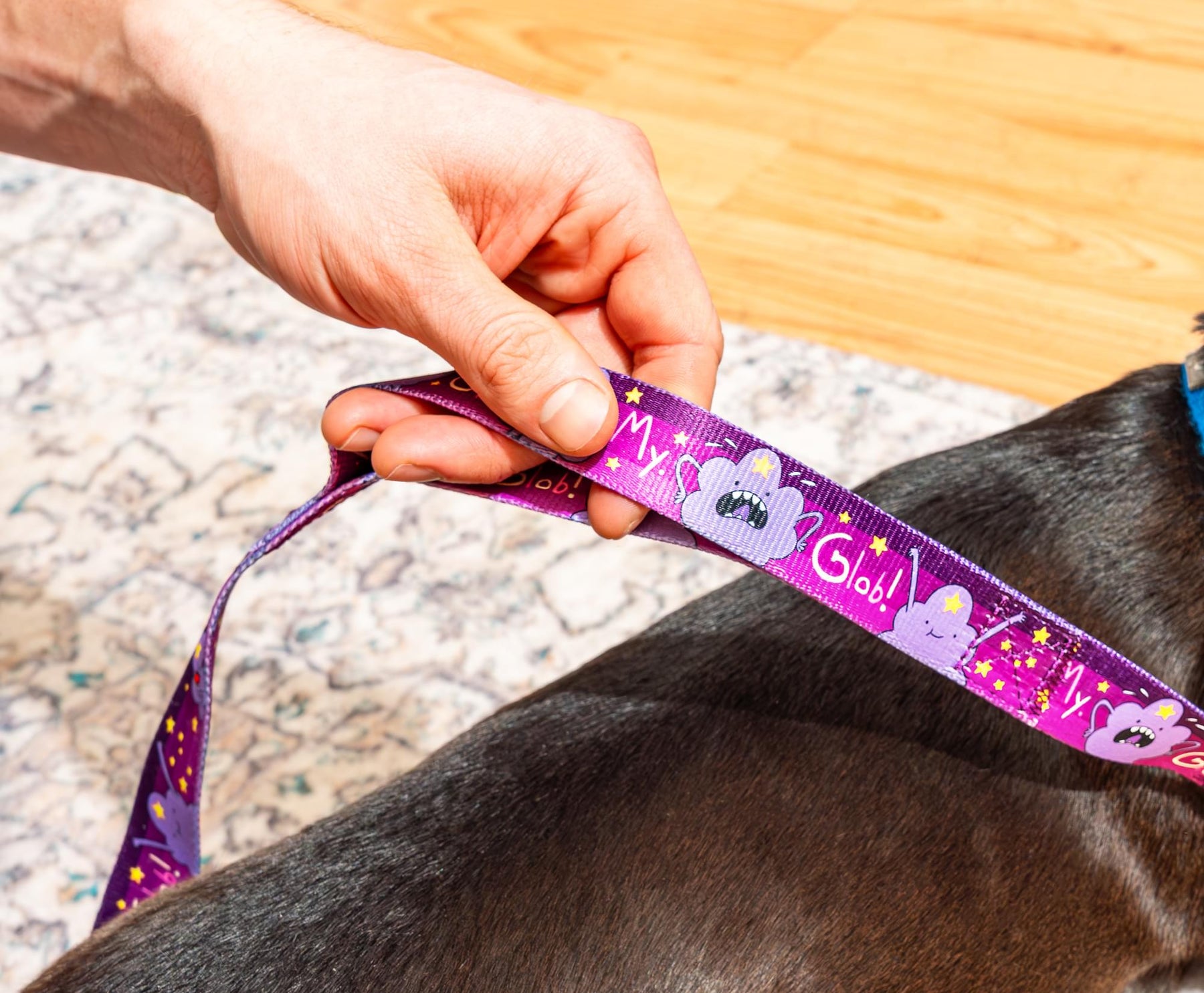 Adventure Time Lumpy Space Princess OMGlob Dog Leash