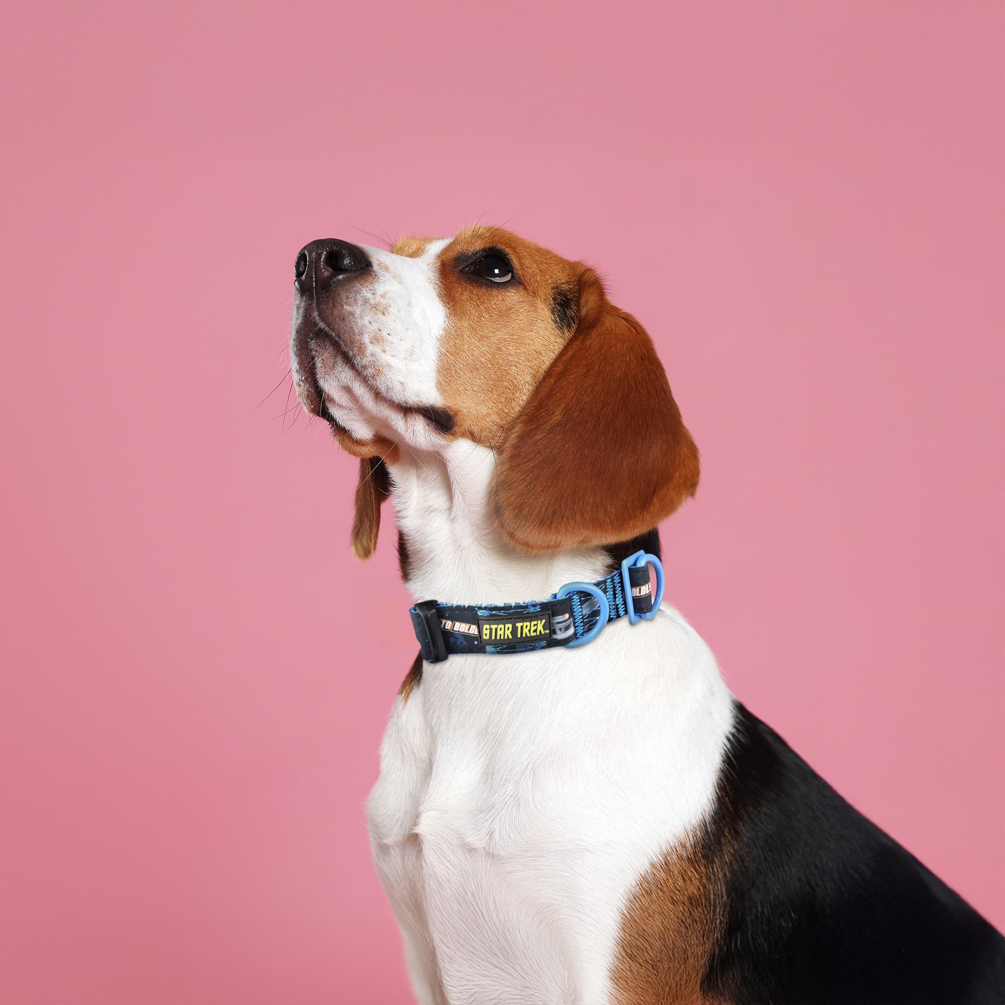Star Trek "To Boldly Go" Dog Collar