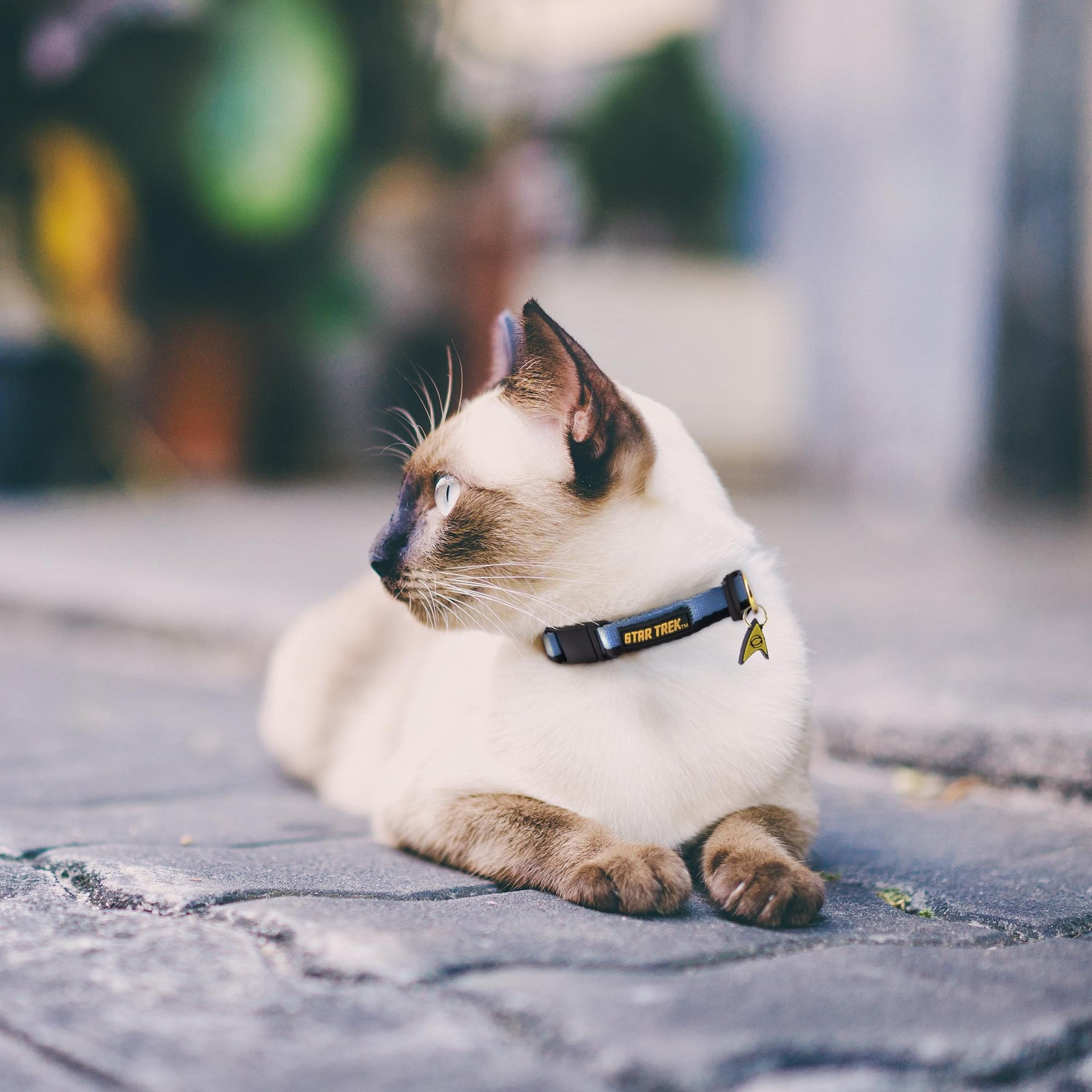 Star Trek Uniform Cat Collar | Blue