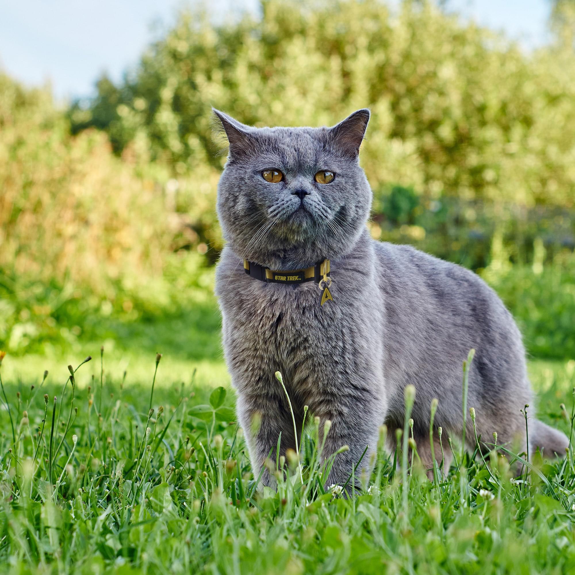 Star Trek Uniform Cat Collar | Gold