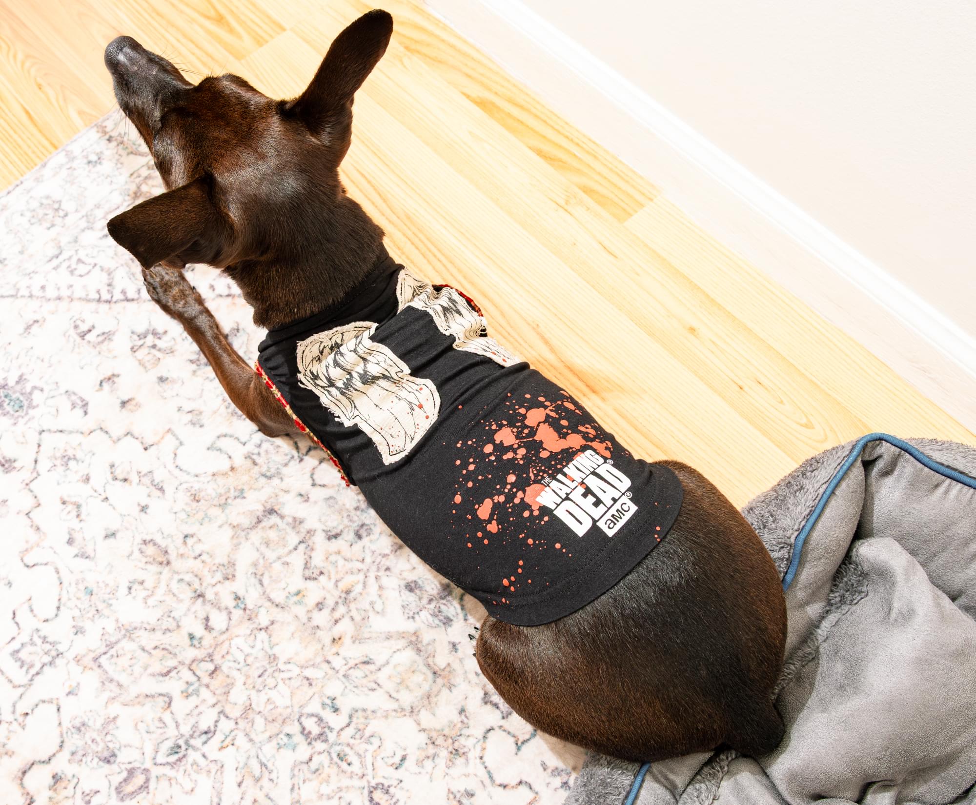 The Walking Dead Daryl Wings Dog Shirt