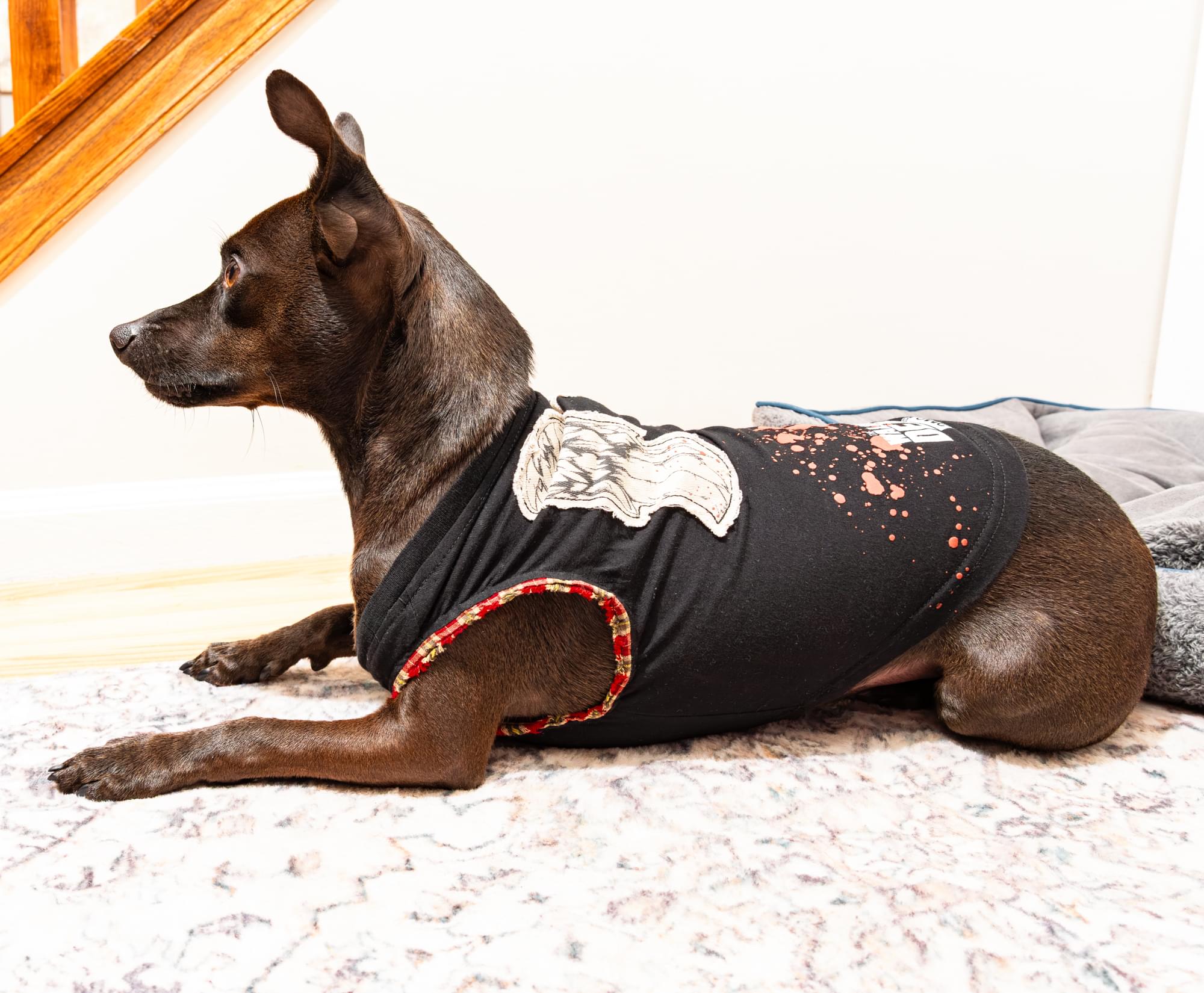 The Walking Dead Daryl Wings Dog Shirt