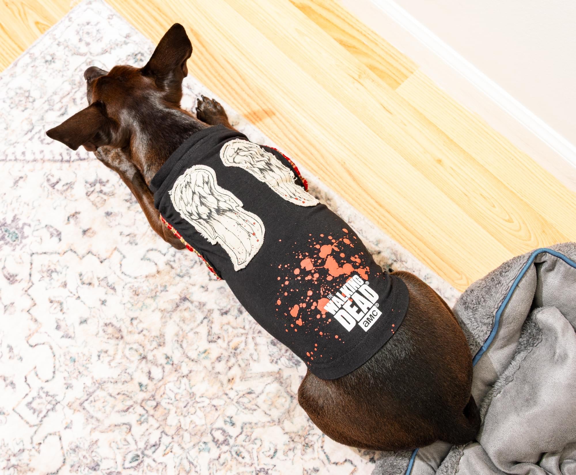 The Walking Dead Daryl Wings Dog Shirt