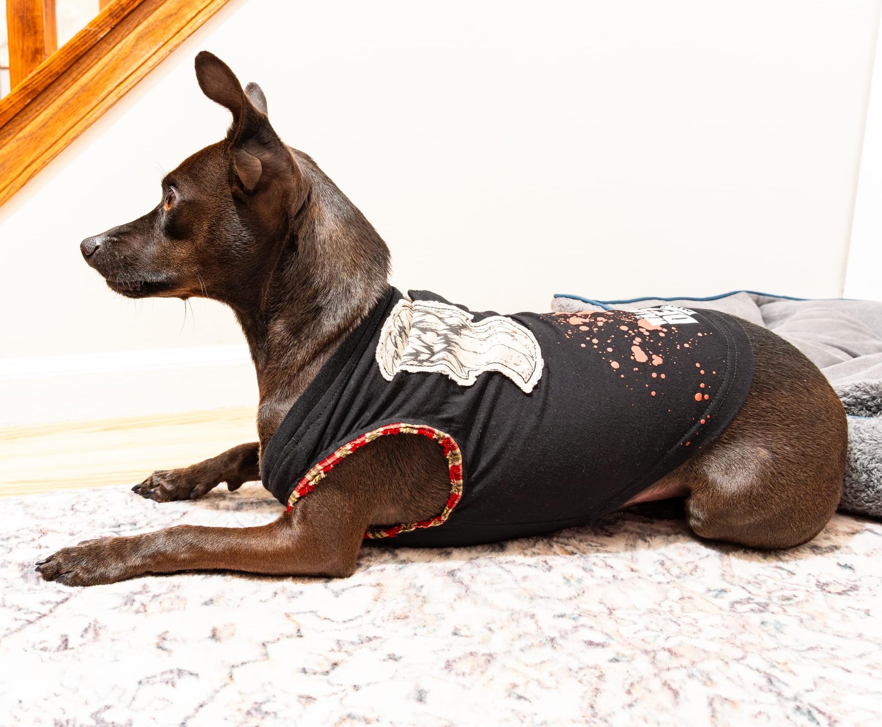The Walking Dead Daryl Wings Dog Shirt