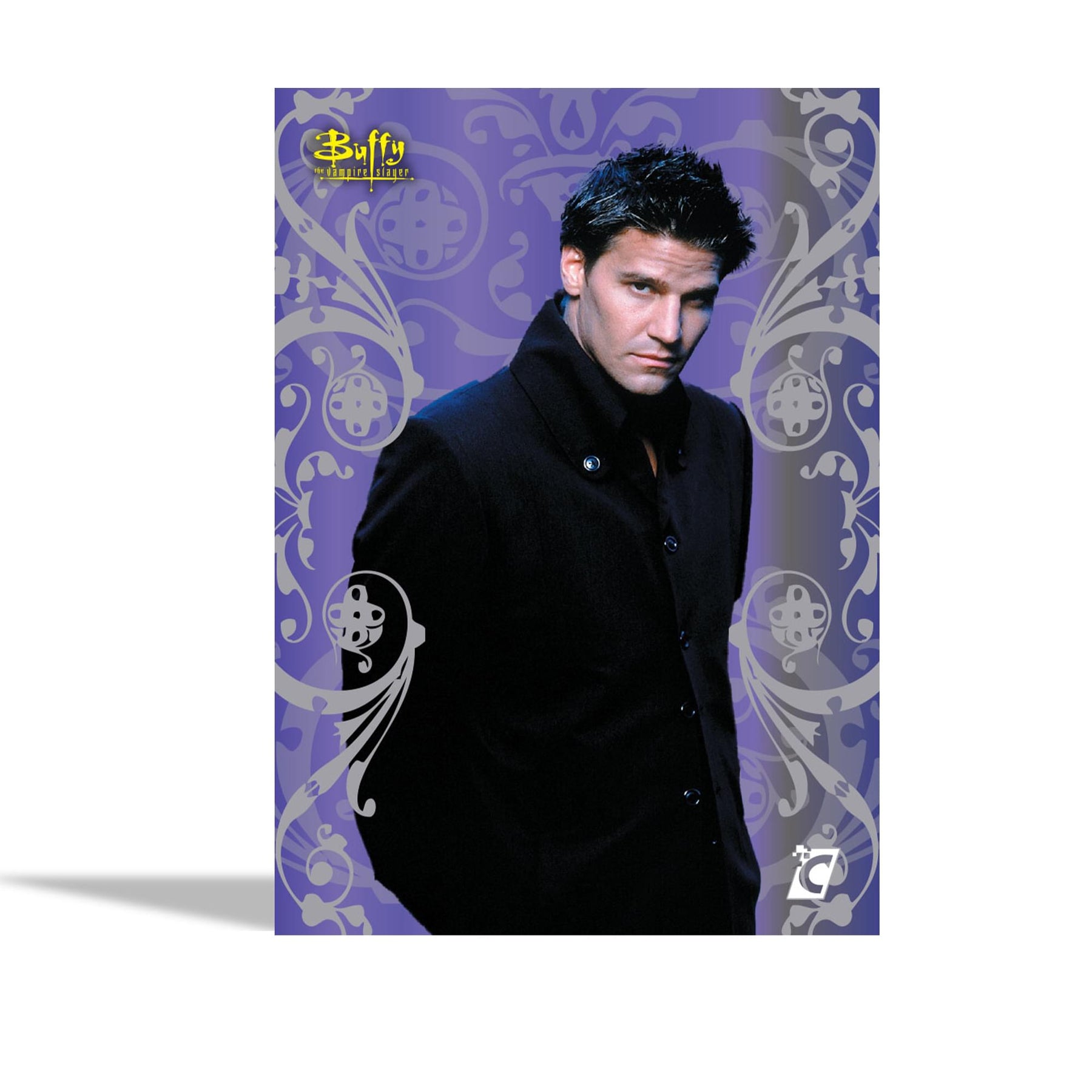 Buffy The Vampire Slayer Series 1 Trading Cards Inner Carton | 12 Boxes