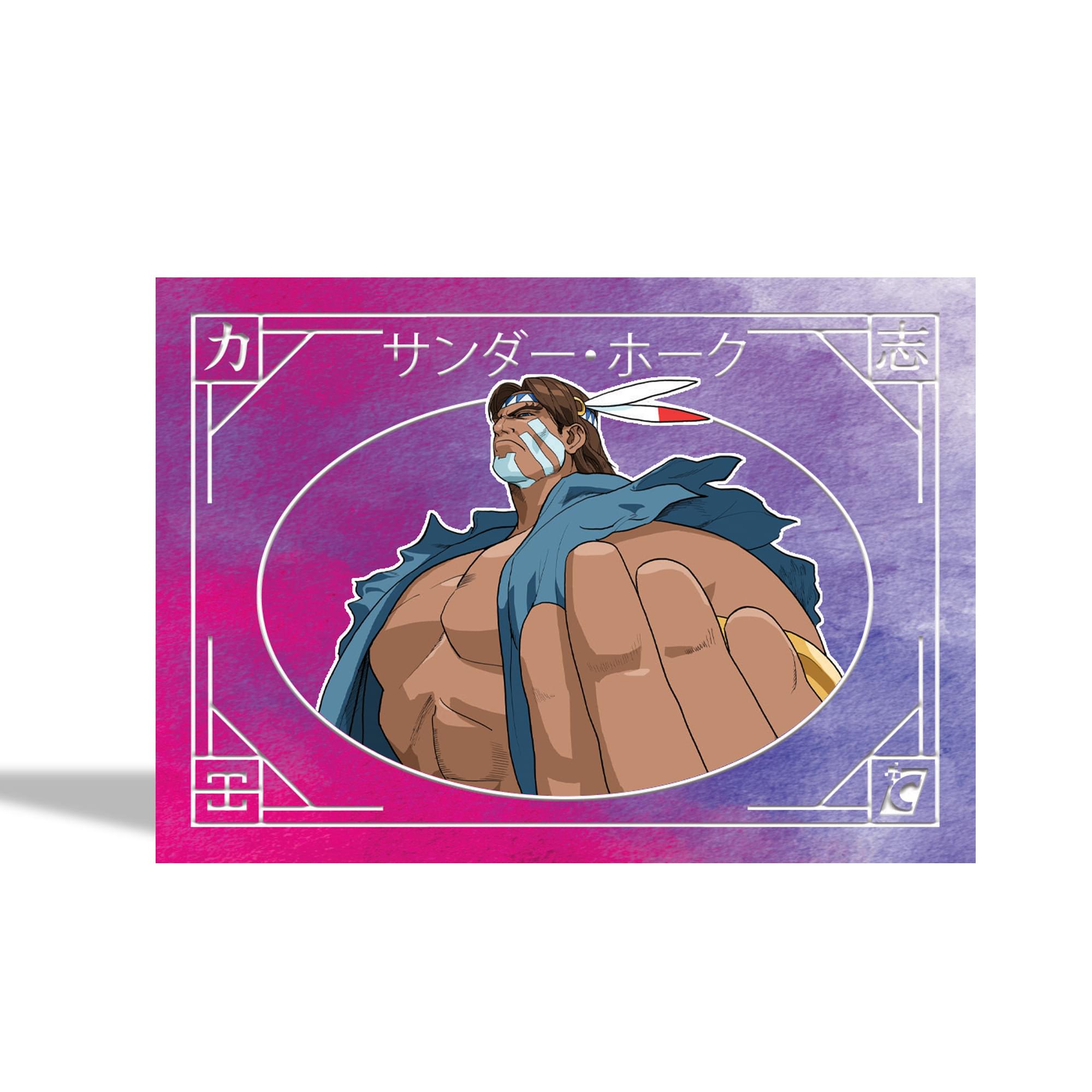 Street Fighter Alpha Trading Cards (Japanese Edition) Inner Carton | 36 Packs