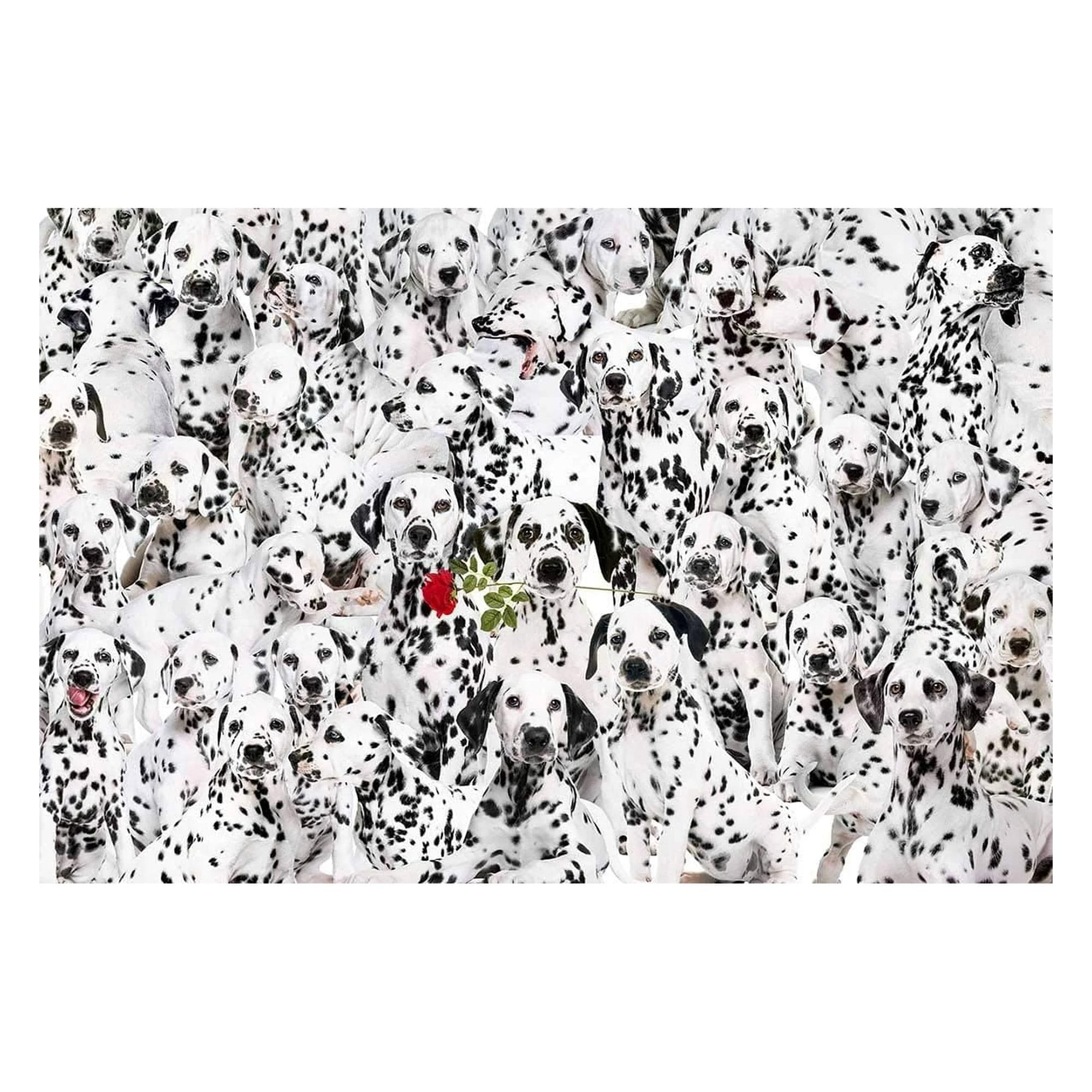 Lots of Spots 100 Piece Cra-Z Difficult Jigsaw Puzzle