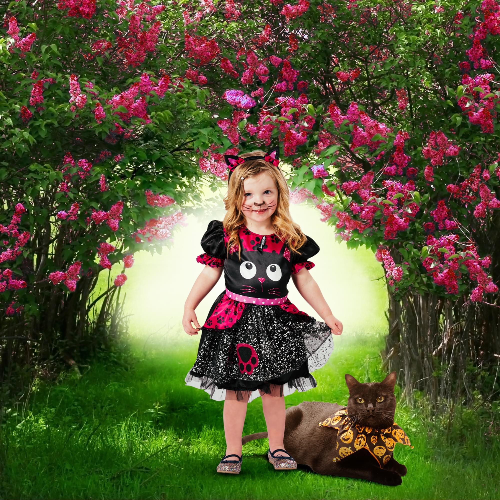 Little Cat Toddler Costume | 2/4 Years