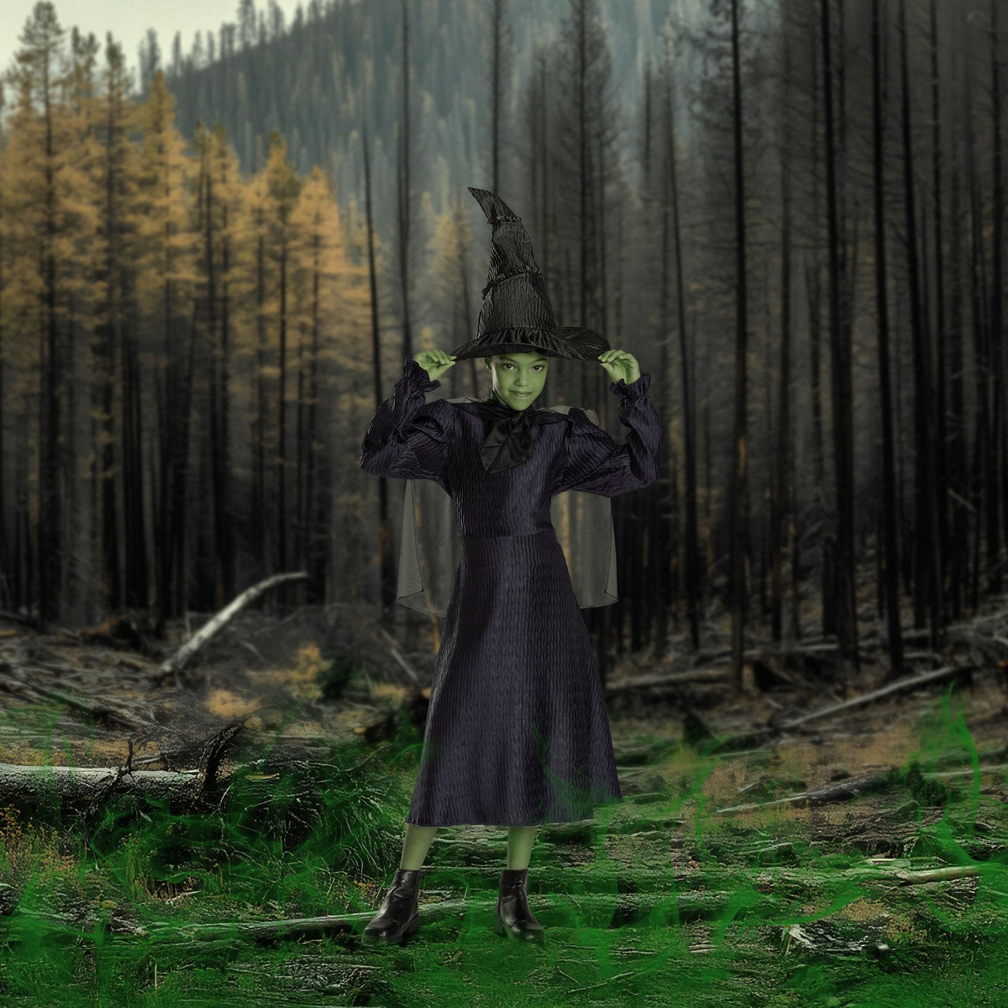 Wicked Elphaba Classic Child Costume